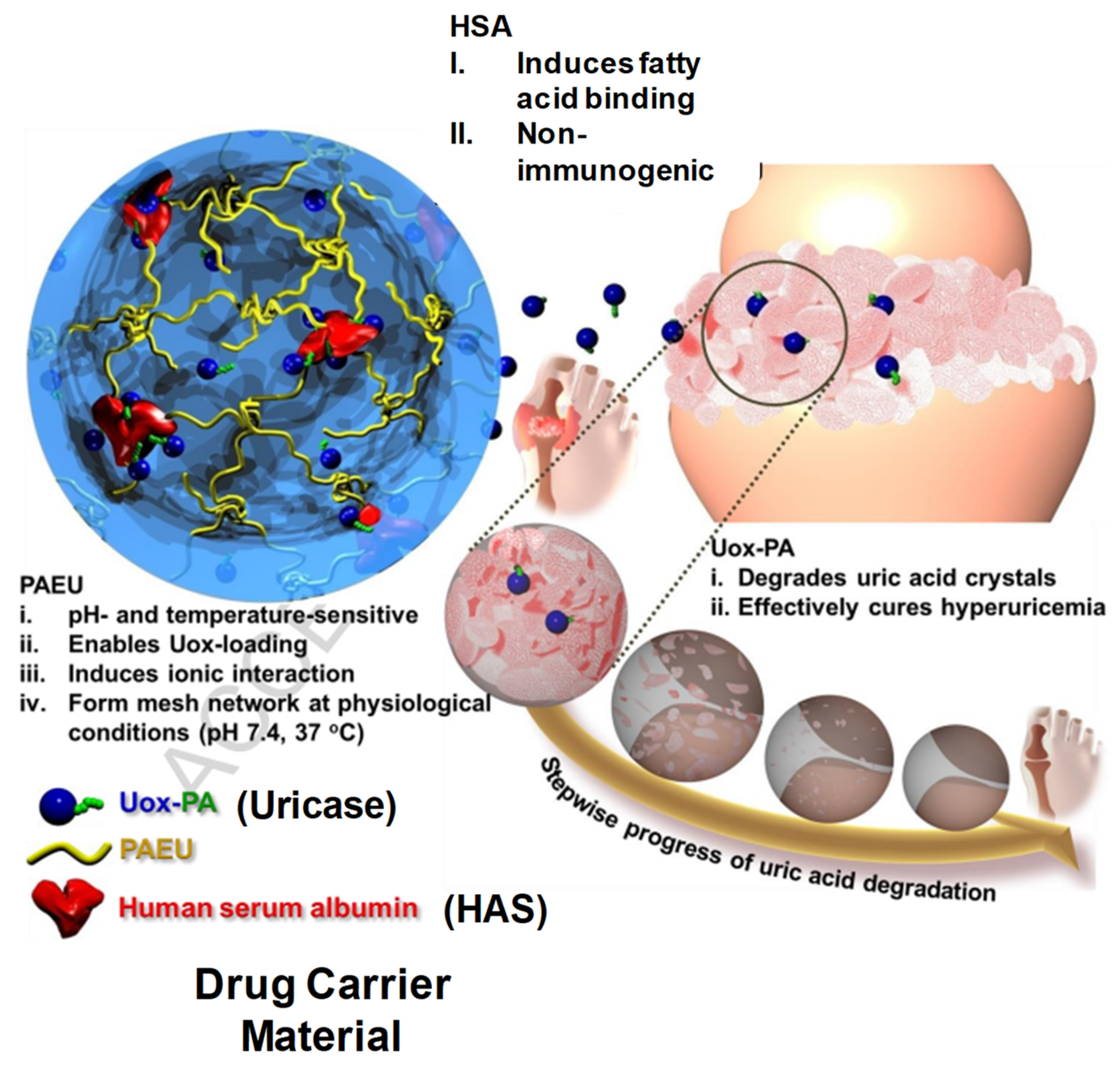 Pharmaceuticals 15 00371 g017