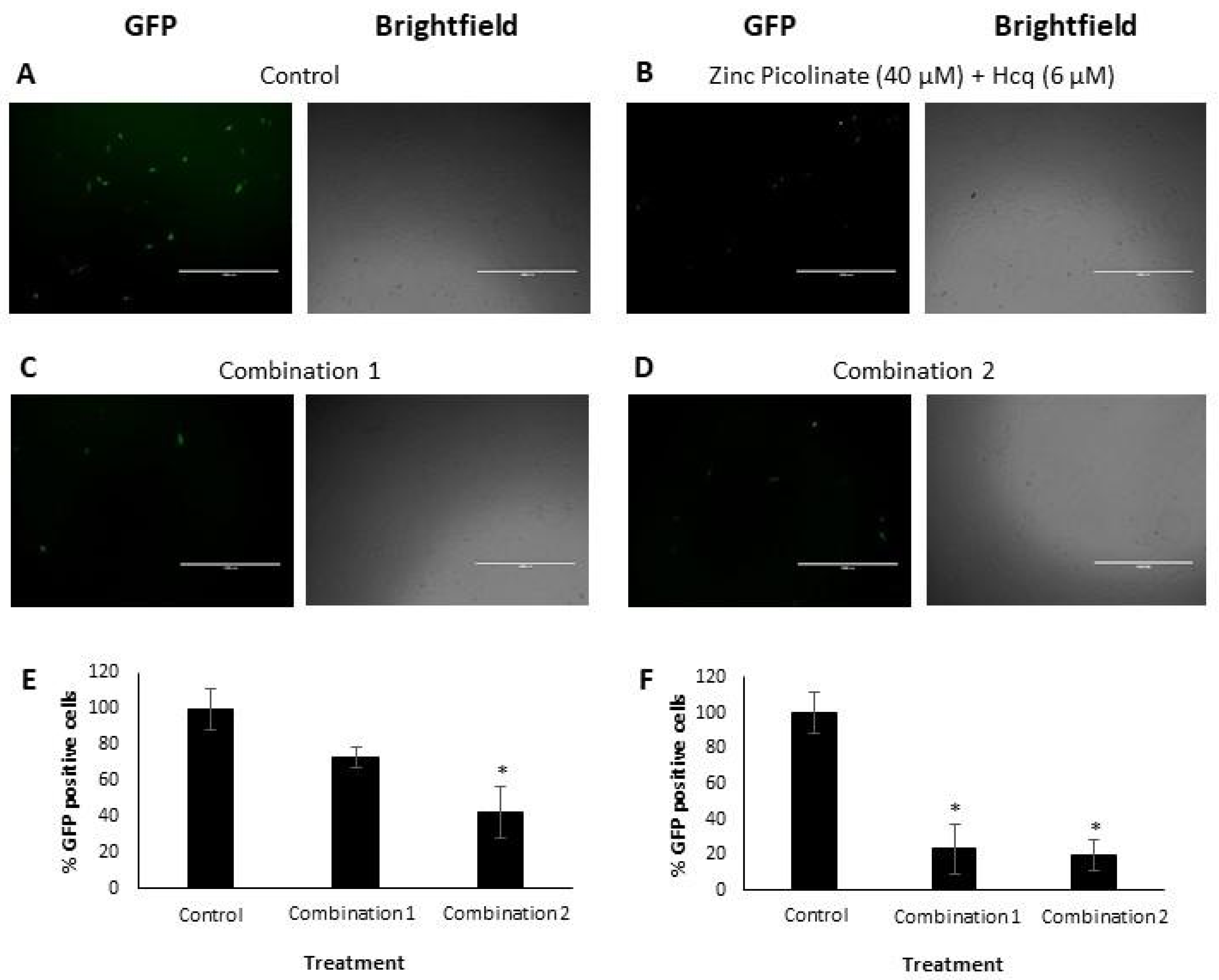 Pharmaceuticals 15 00377 g003