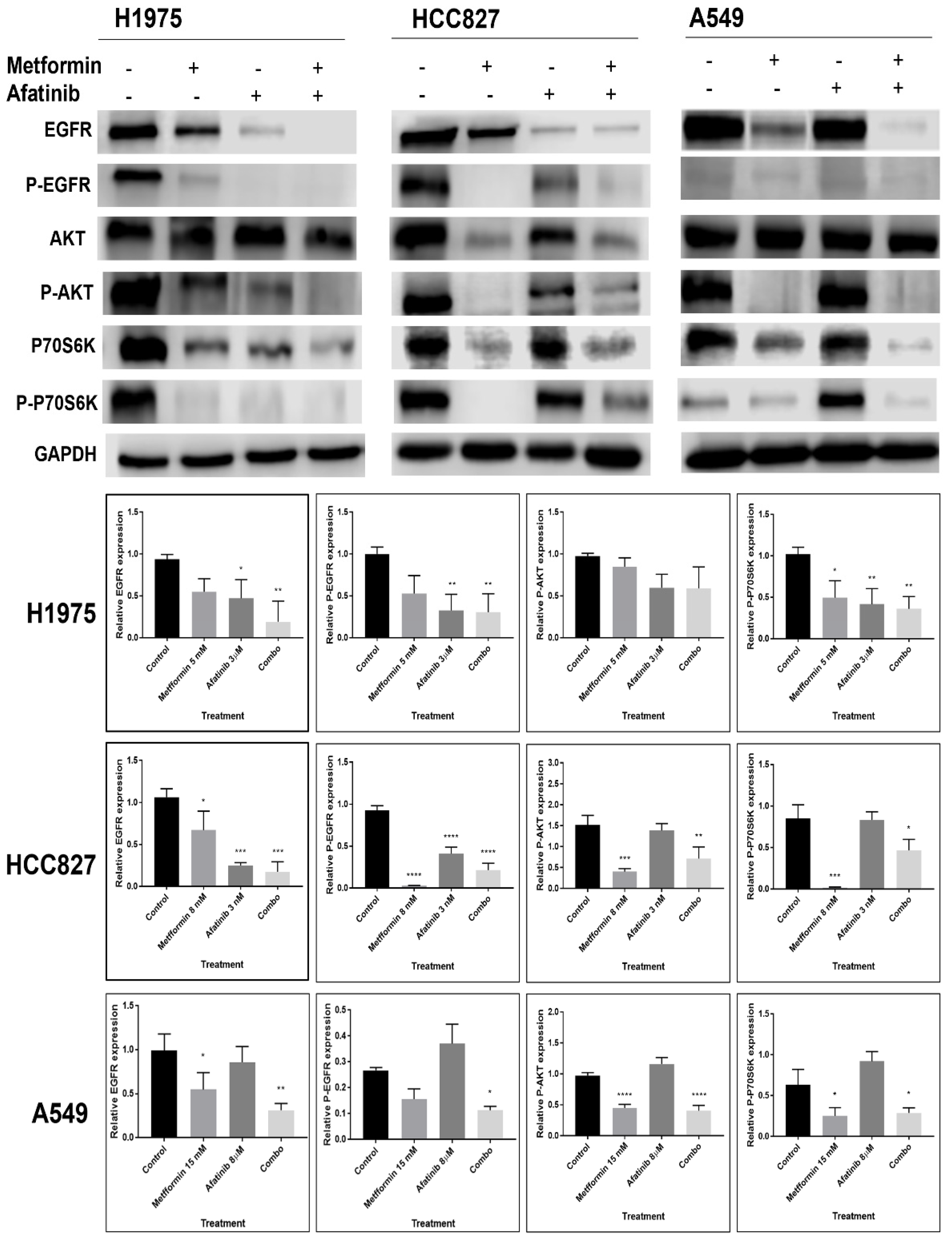 Pharmaceuticals 15 00381 g004
