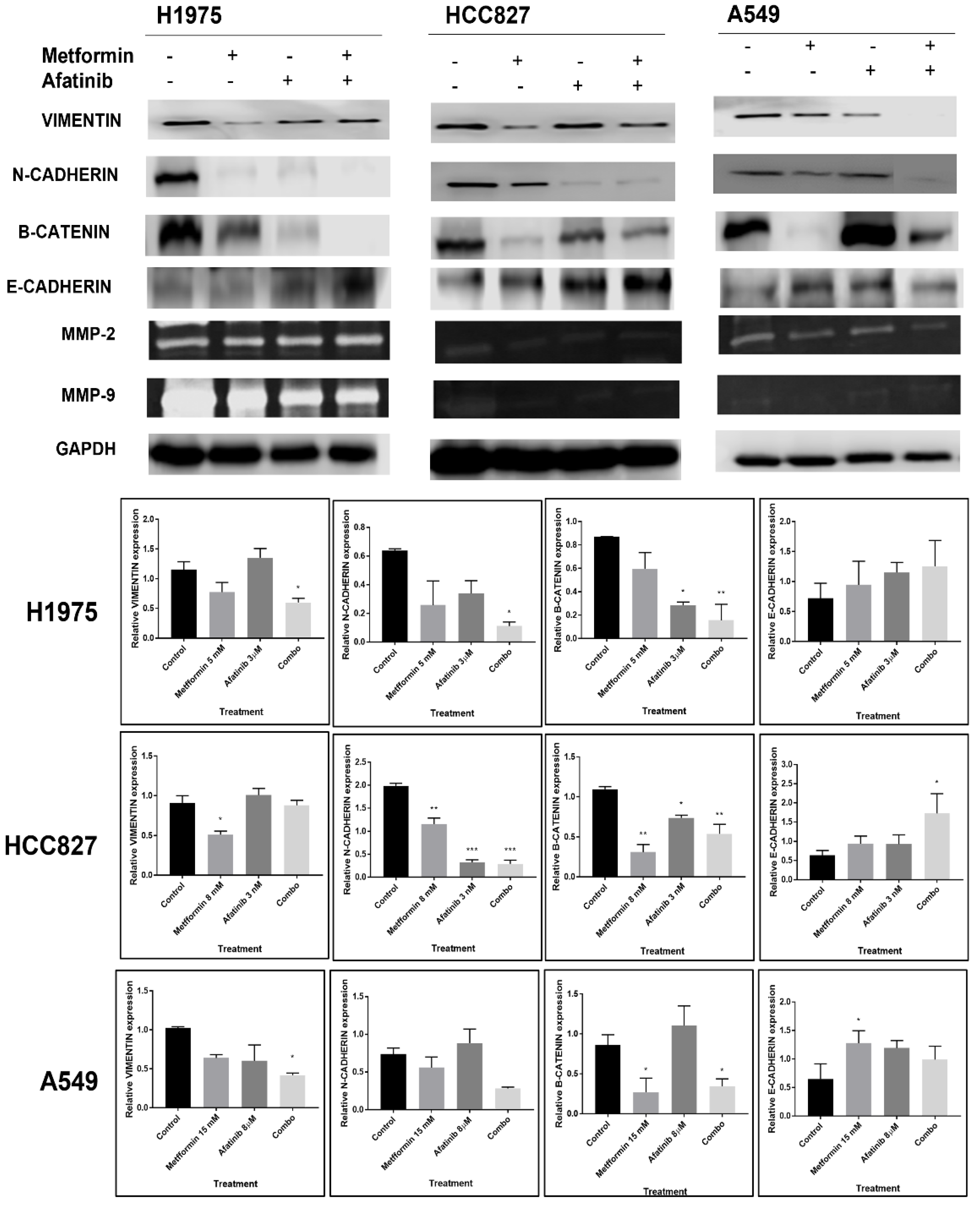 Pharmaceuticals 15 00381 g005