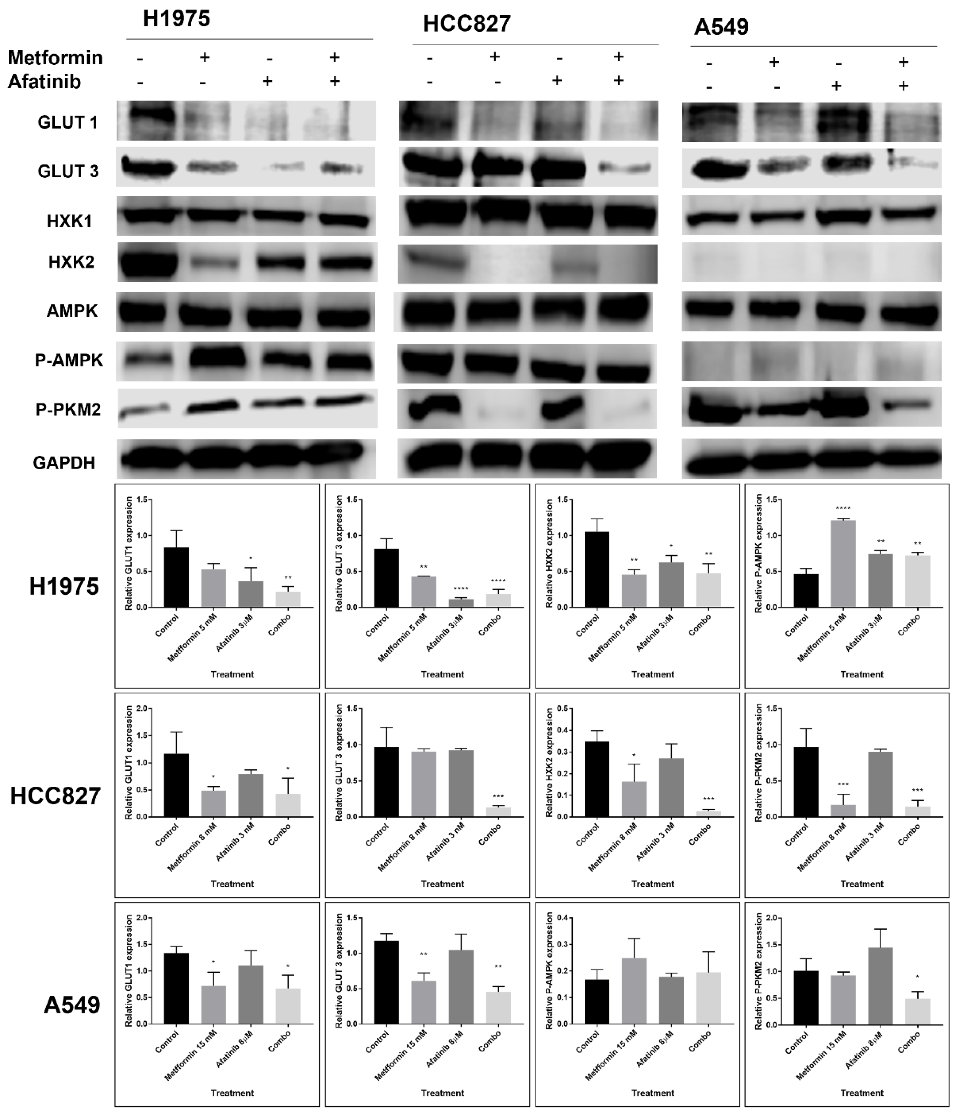 Pharmaceuticals 15 00381 g006