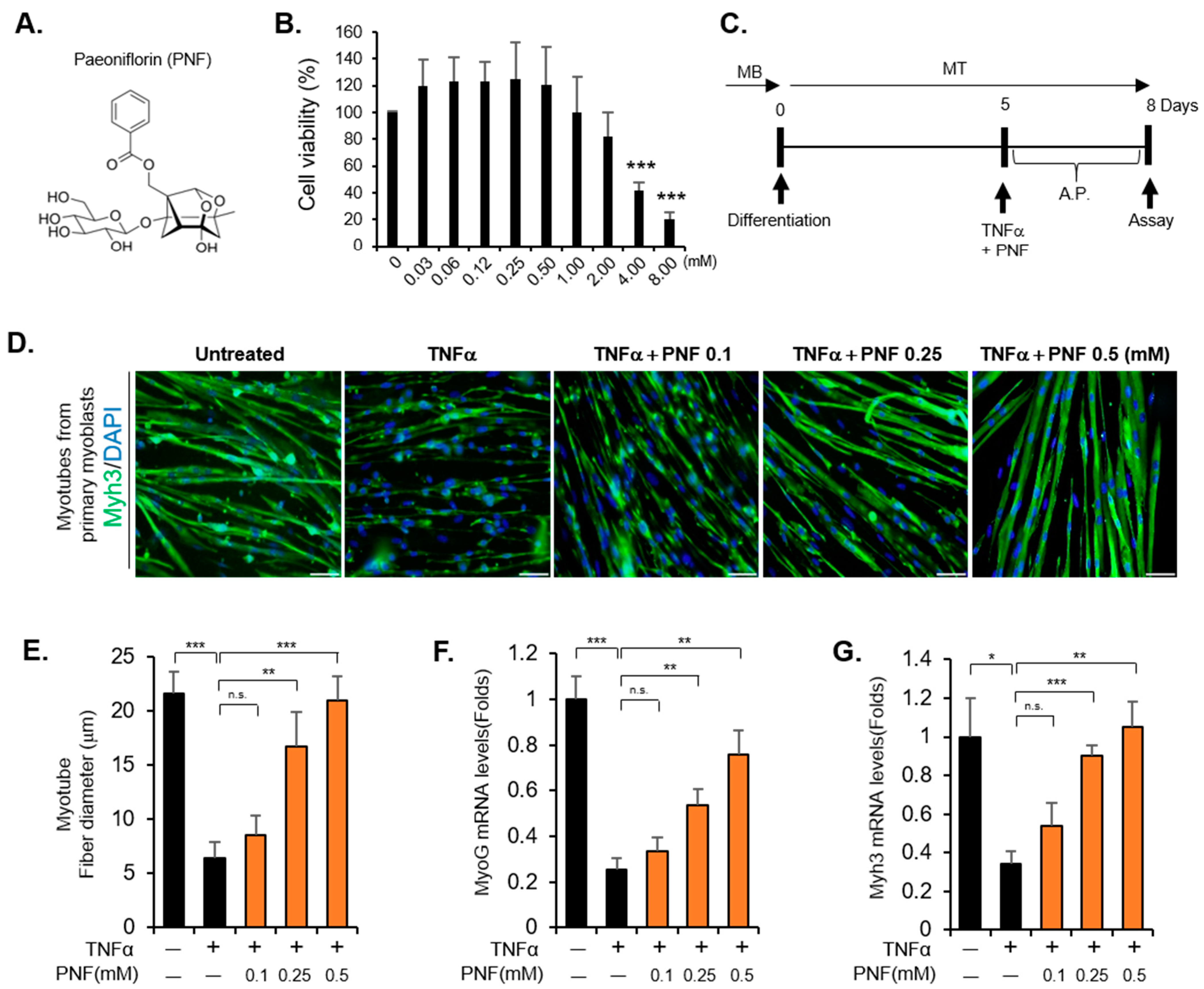 Pharmaceuticals 15 00390 g001