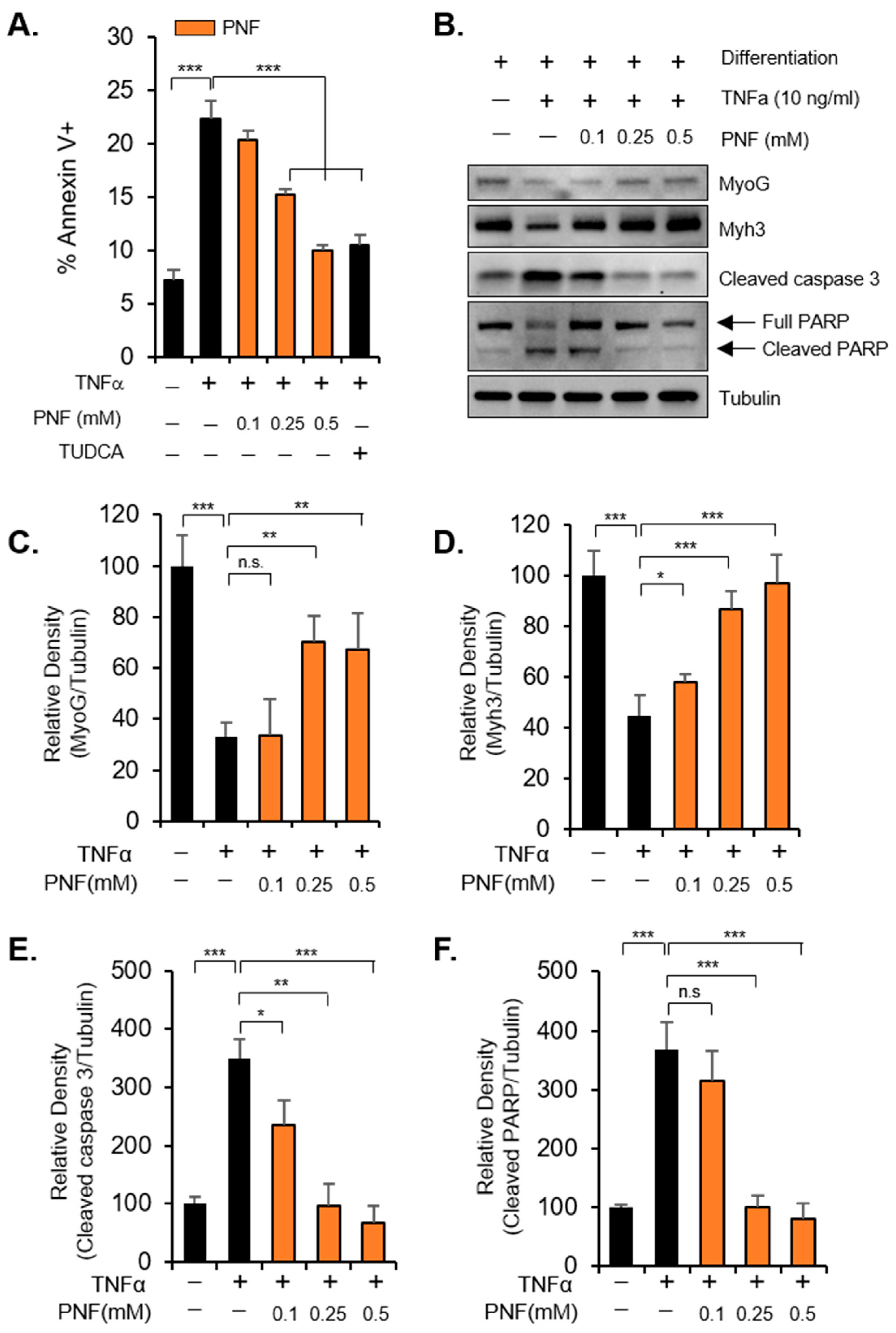 Pharmaceuticals 15 00390 g002