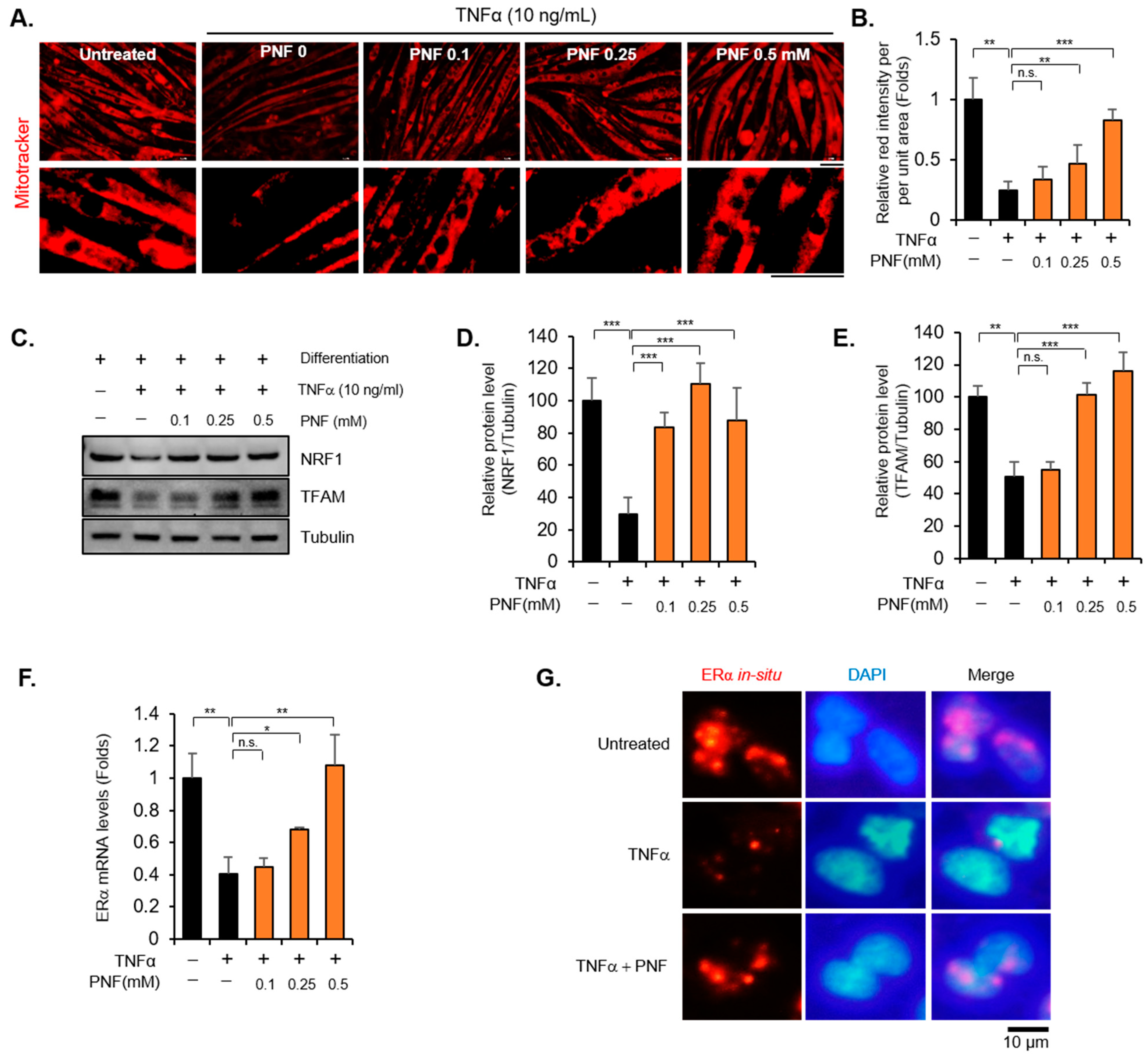 Pharmaceuticals 15 00390 g003