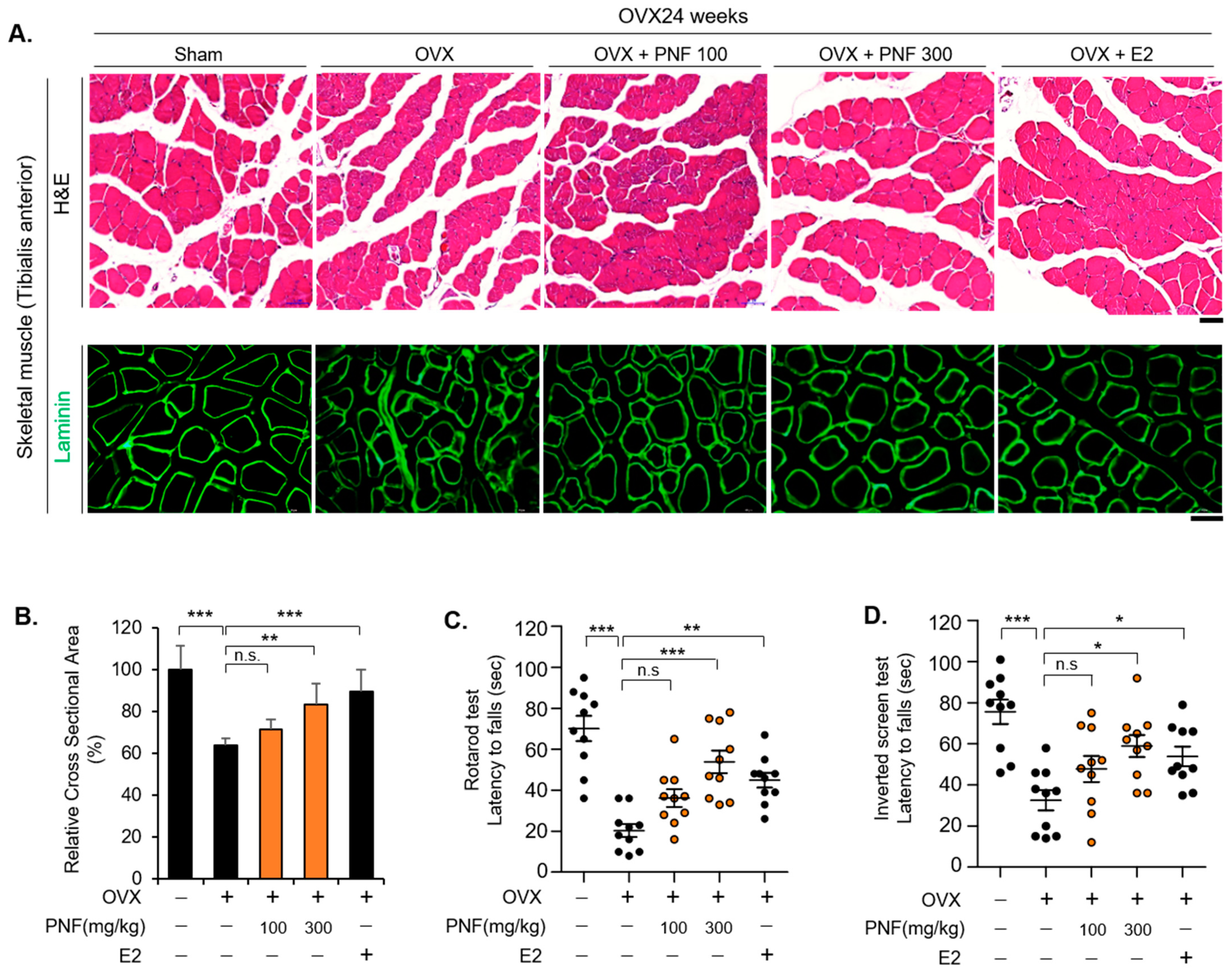 Pharmaceuticals 15 00390 g004