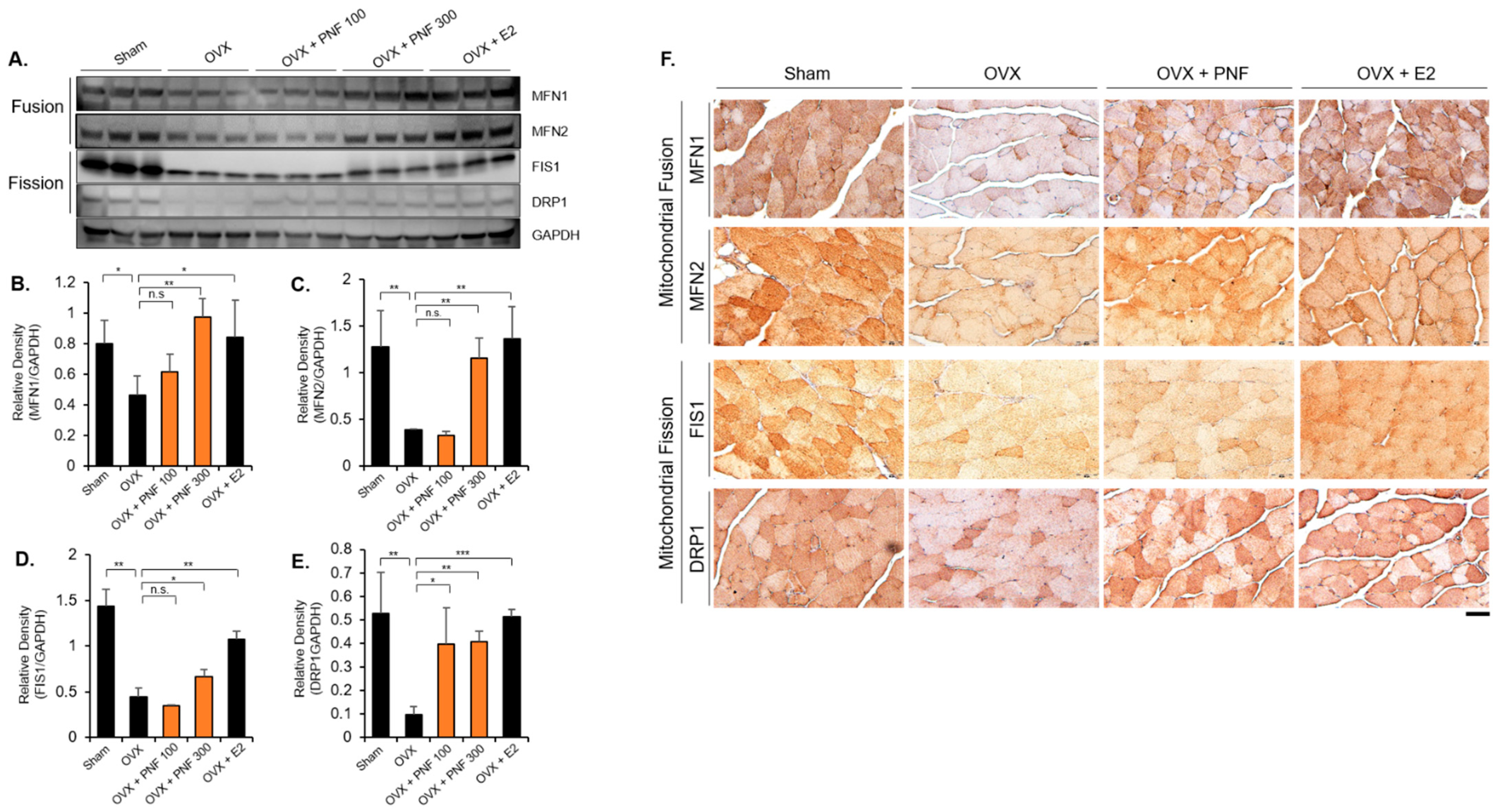 Pharmaceuticals 15 00390 g006
