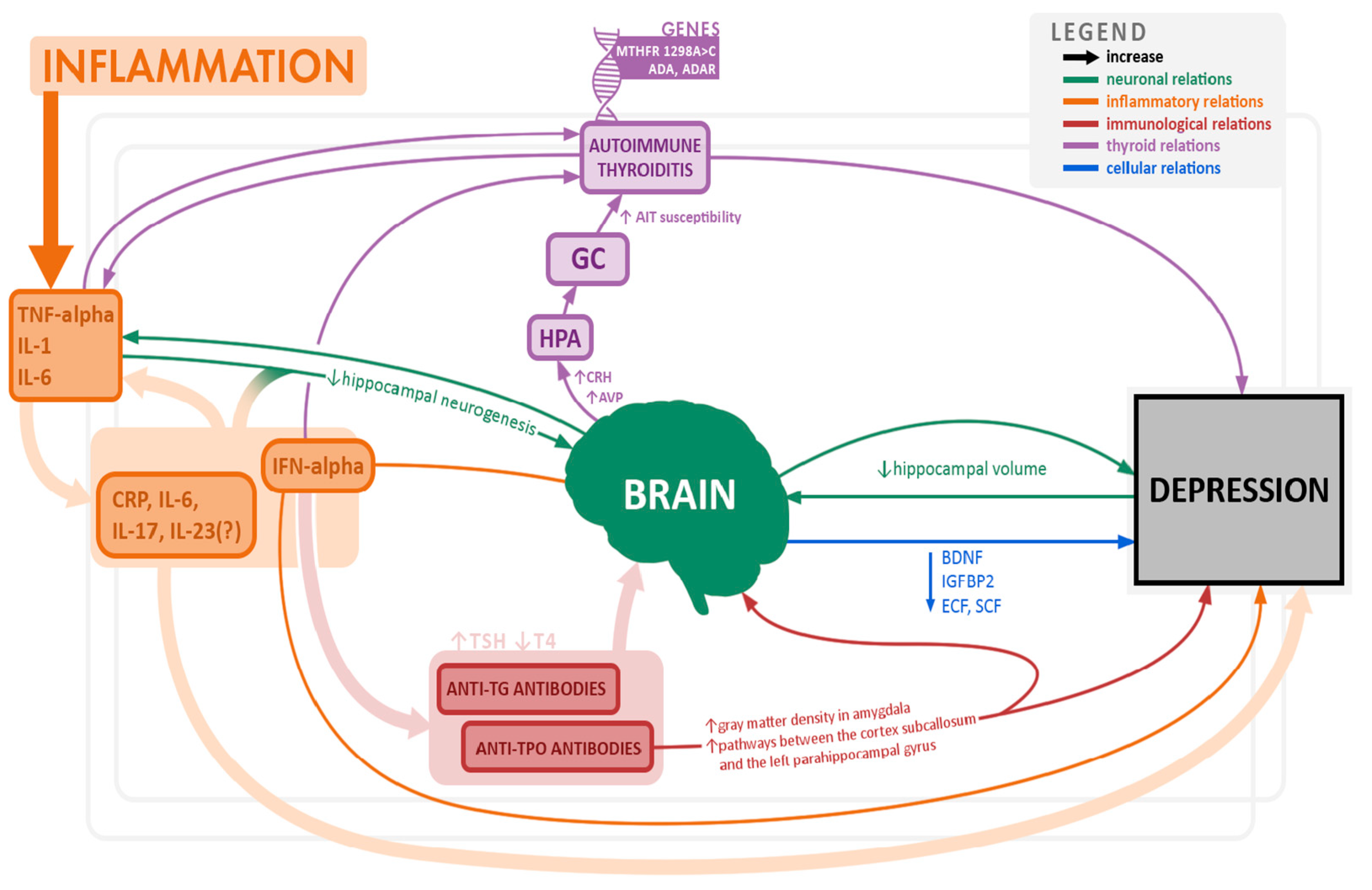 Pharmaceuticals 15 00391 g003