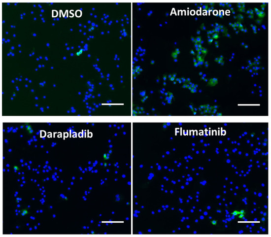 Pharmaceuticals 15 00396 g0a6 550