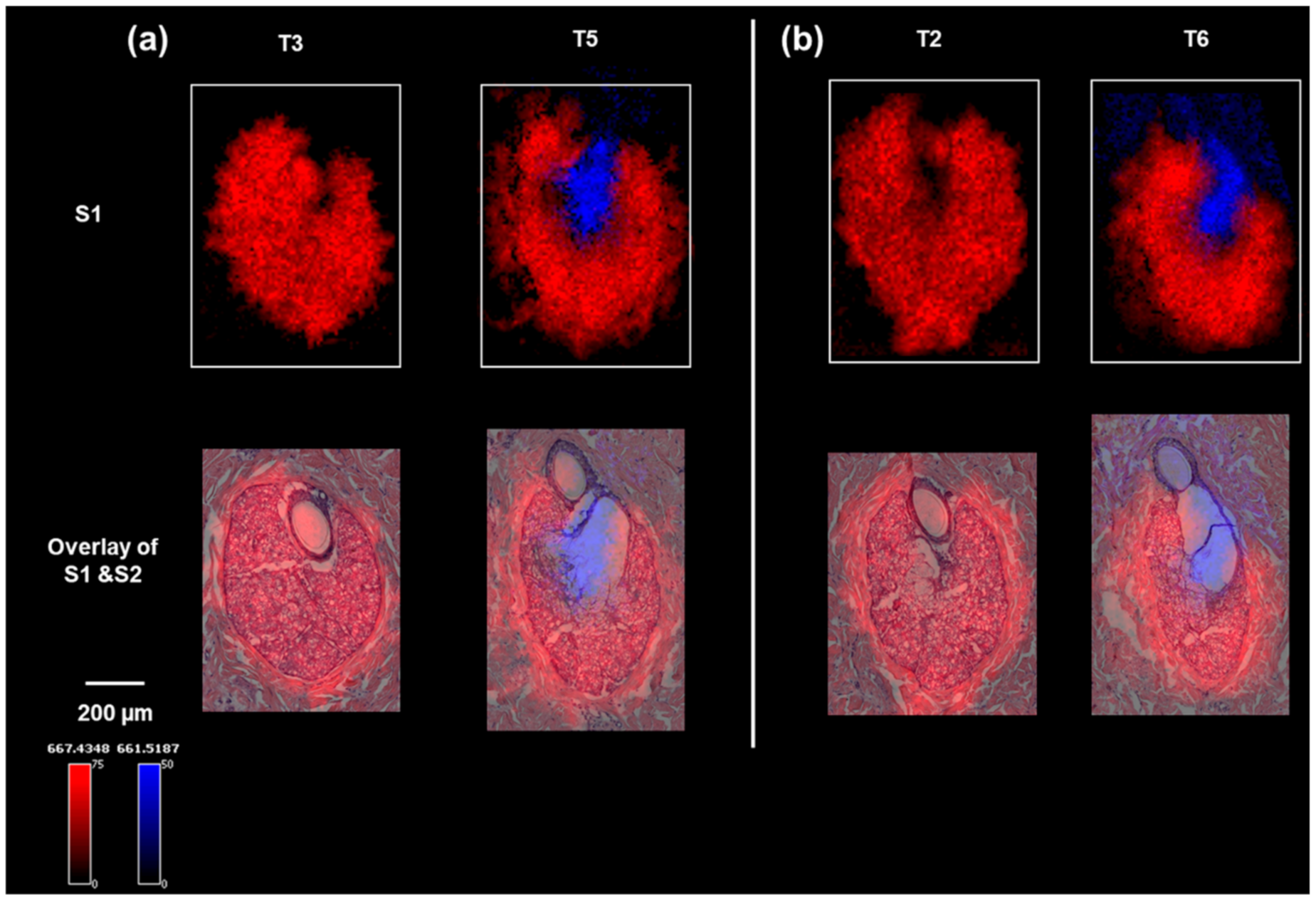 Pharmaceuticals 15 00411 g002
