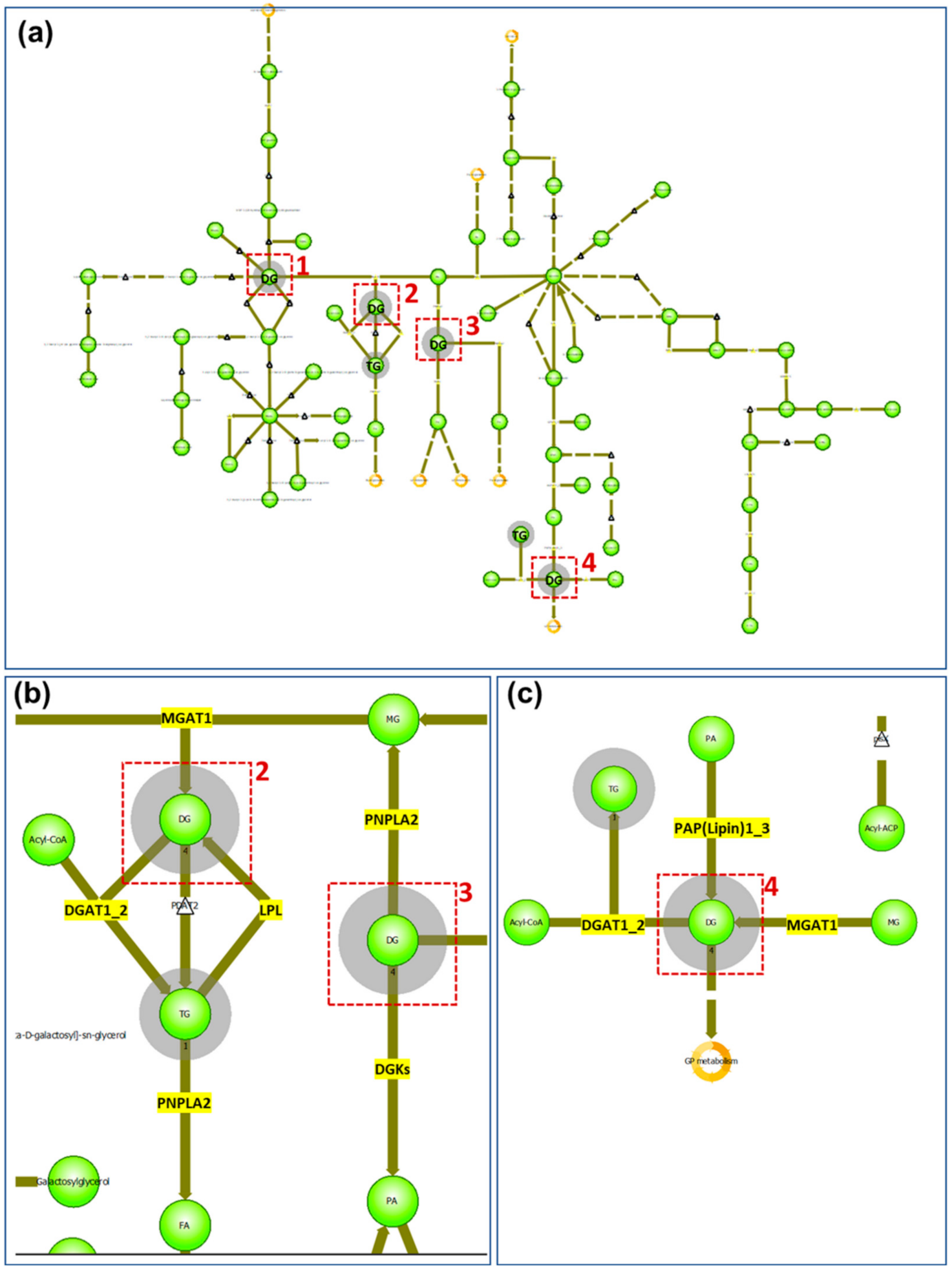 Pharmaceuticals 15 00411 g003