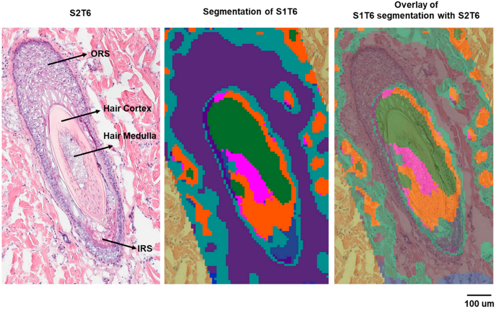 Pharmaceuticals 15 00411 g005