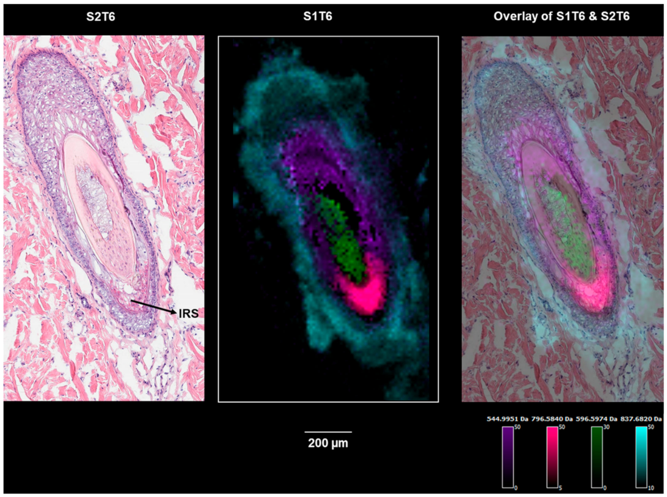Pharmaceuticals 15 00411 g006