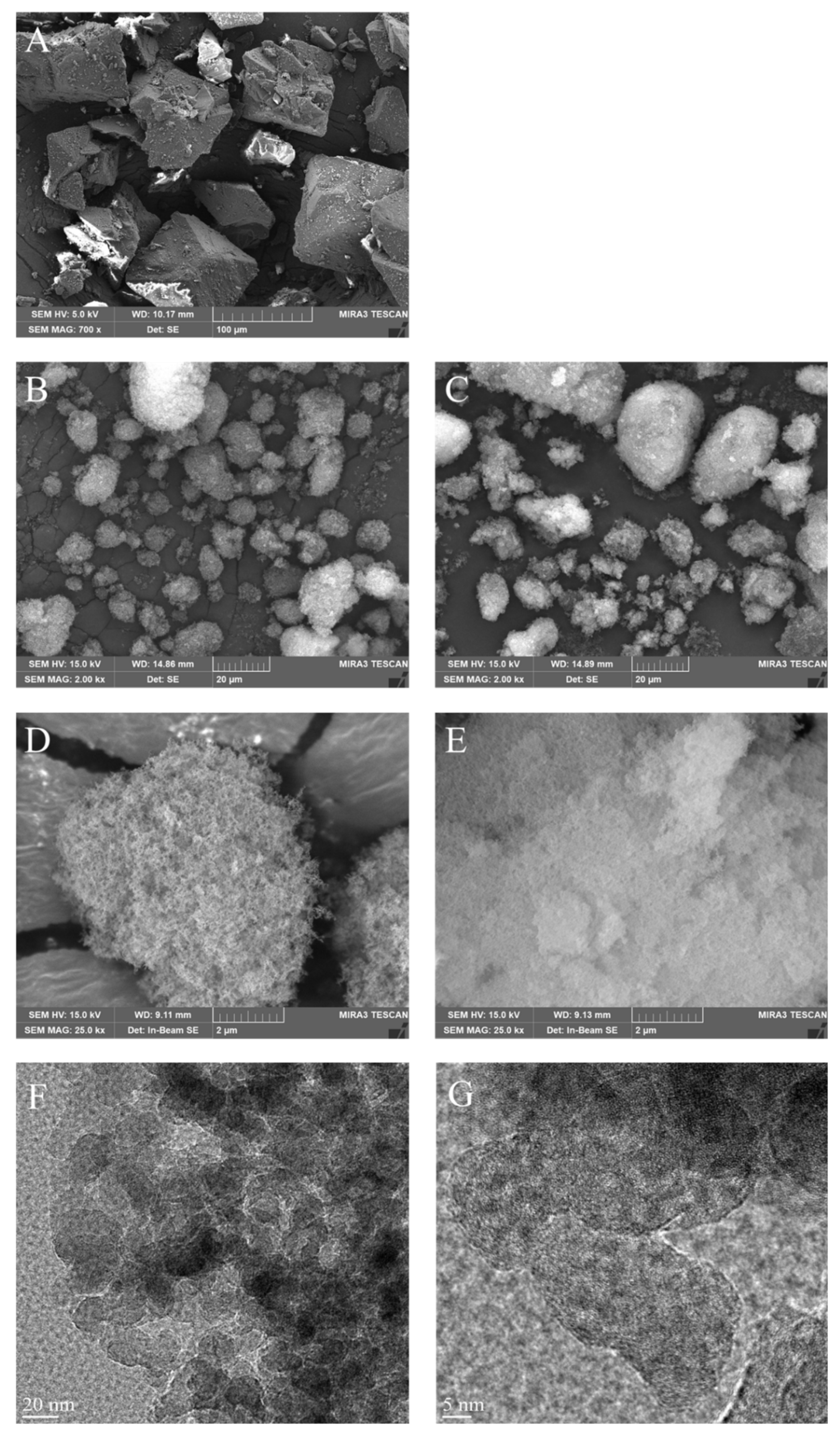 Pharmaceuticals 15 00412 g004