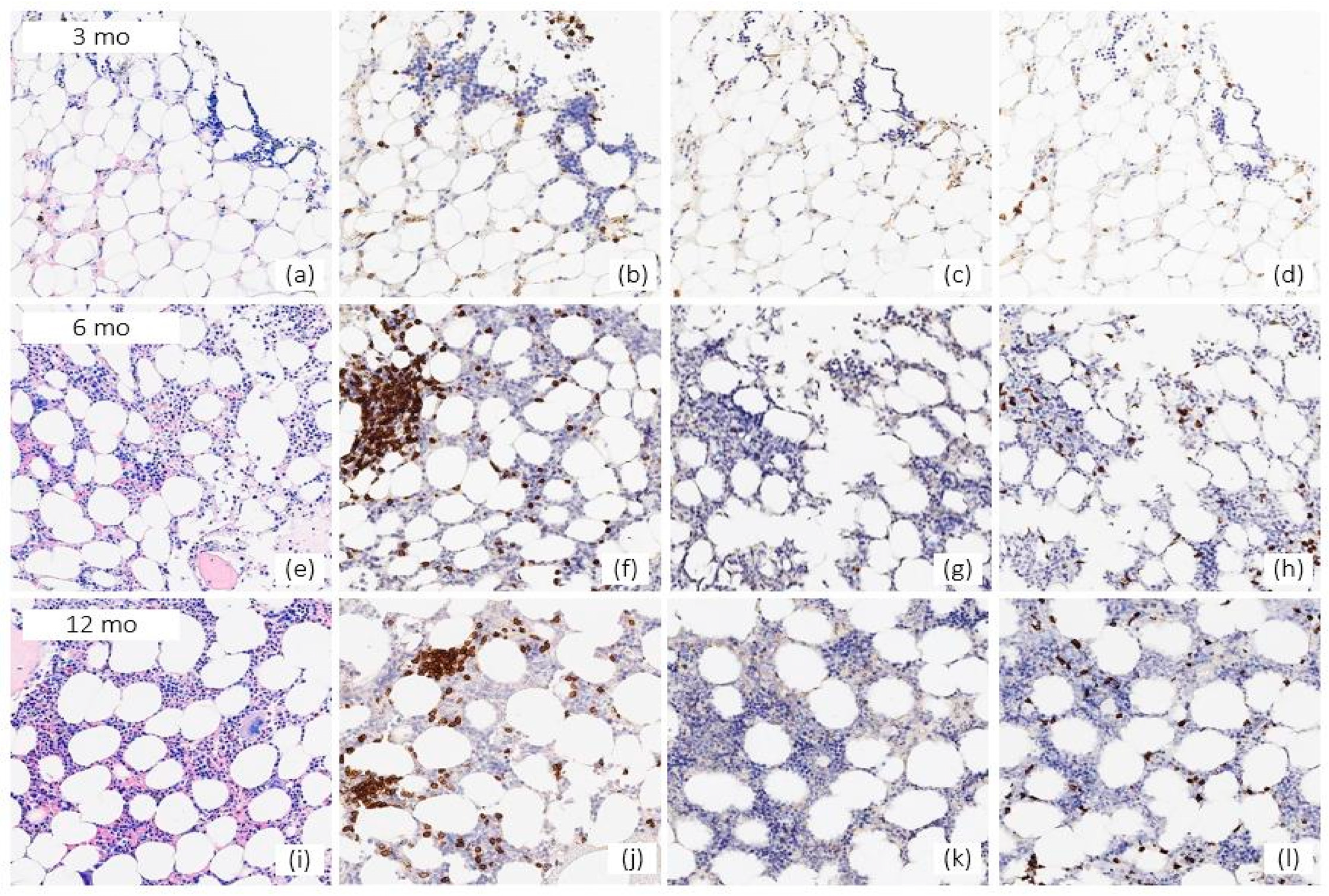Pharmaceuticals 15 00419 g002