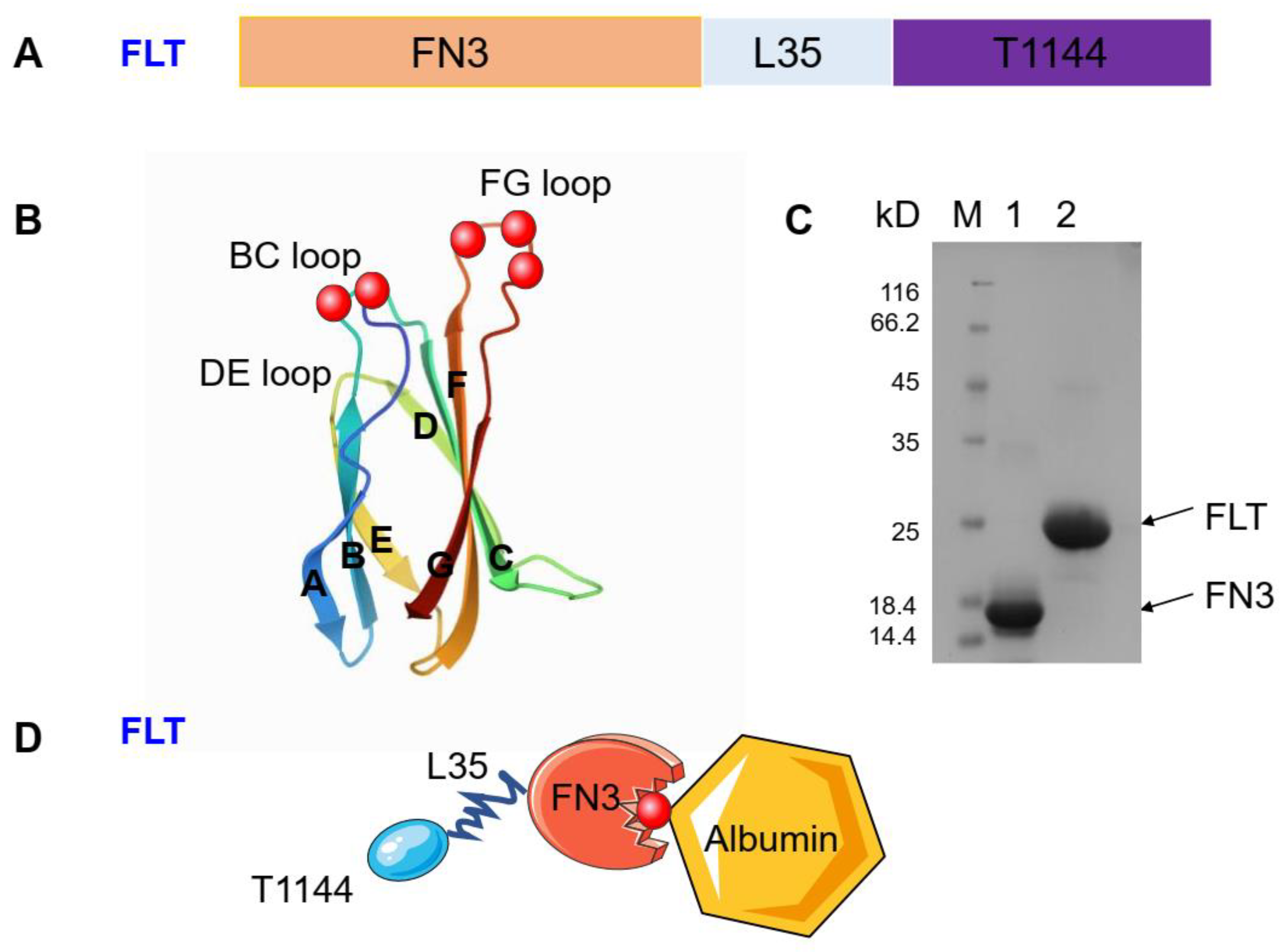 Pharmaceuticals 15 00424 g002