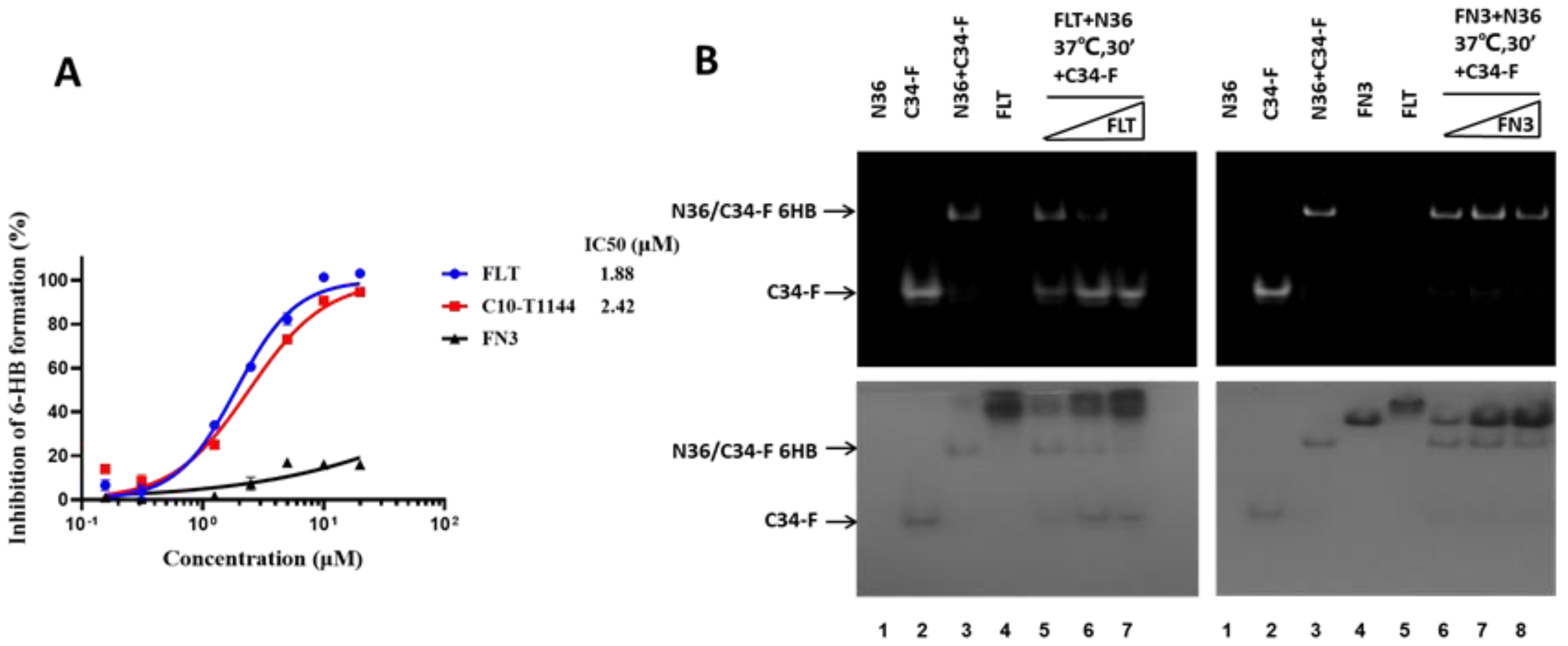 Pharmaceuticals 15 00424 g004