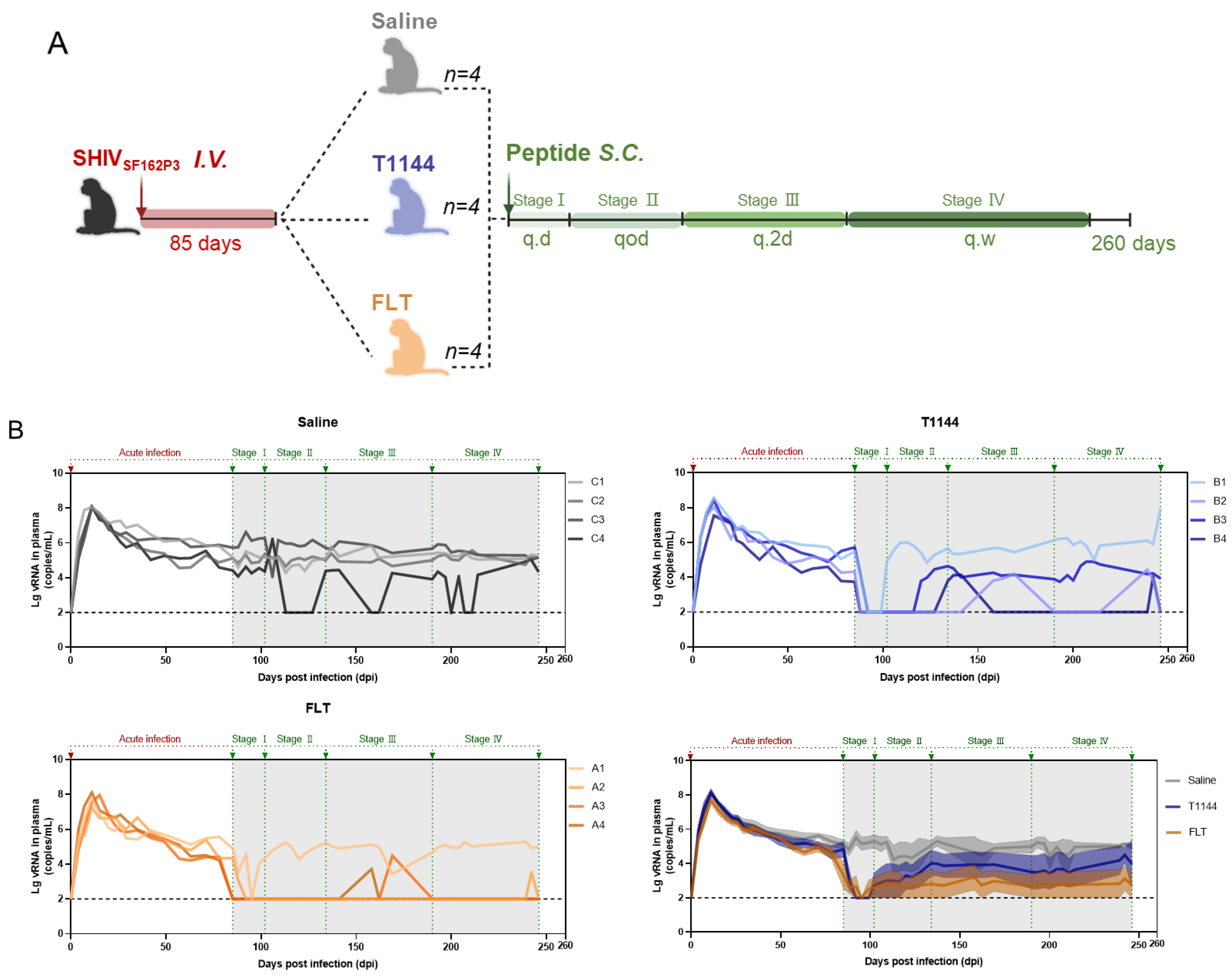 Pharmaceuticals 15 00424 g007