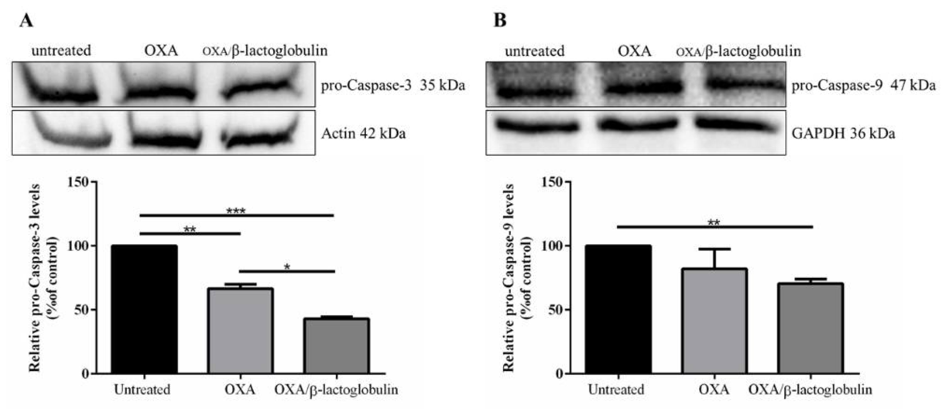 Pharmaceuticals 15 00425 g005
