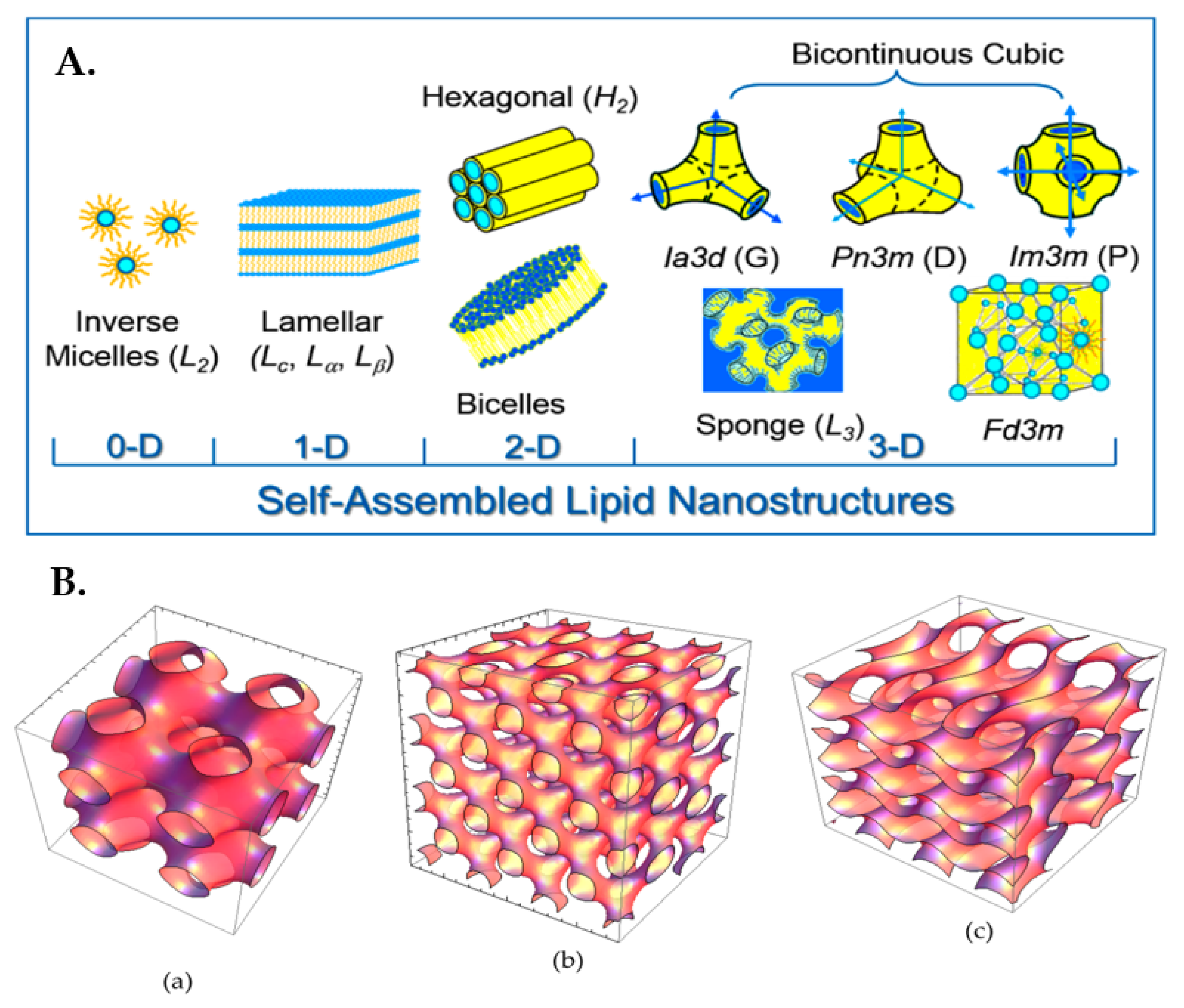 Pharmaceuticals 15 00429 g002