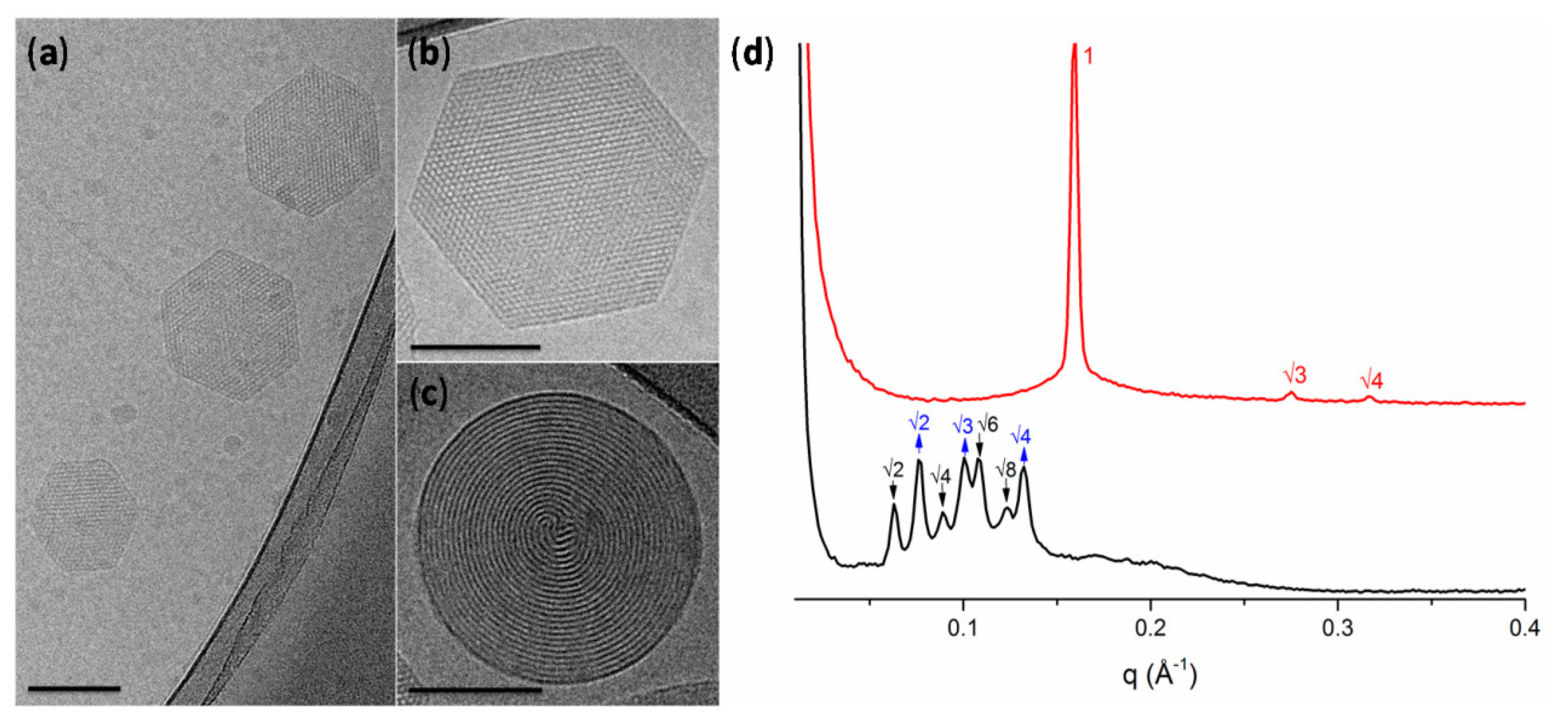 Pharmaceuticals 15 00429 g003