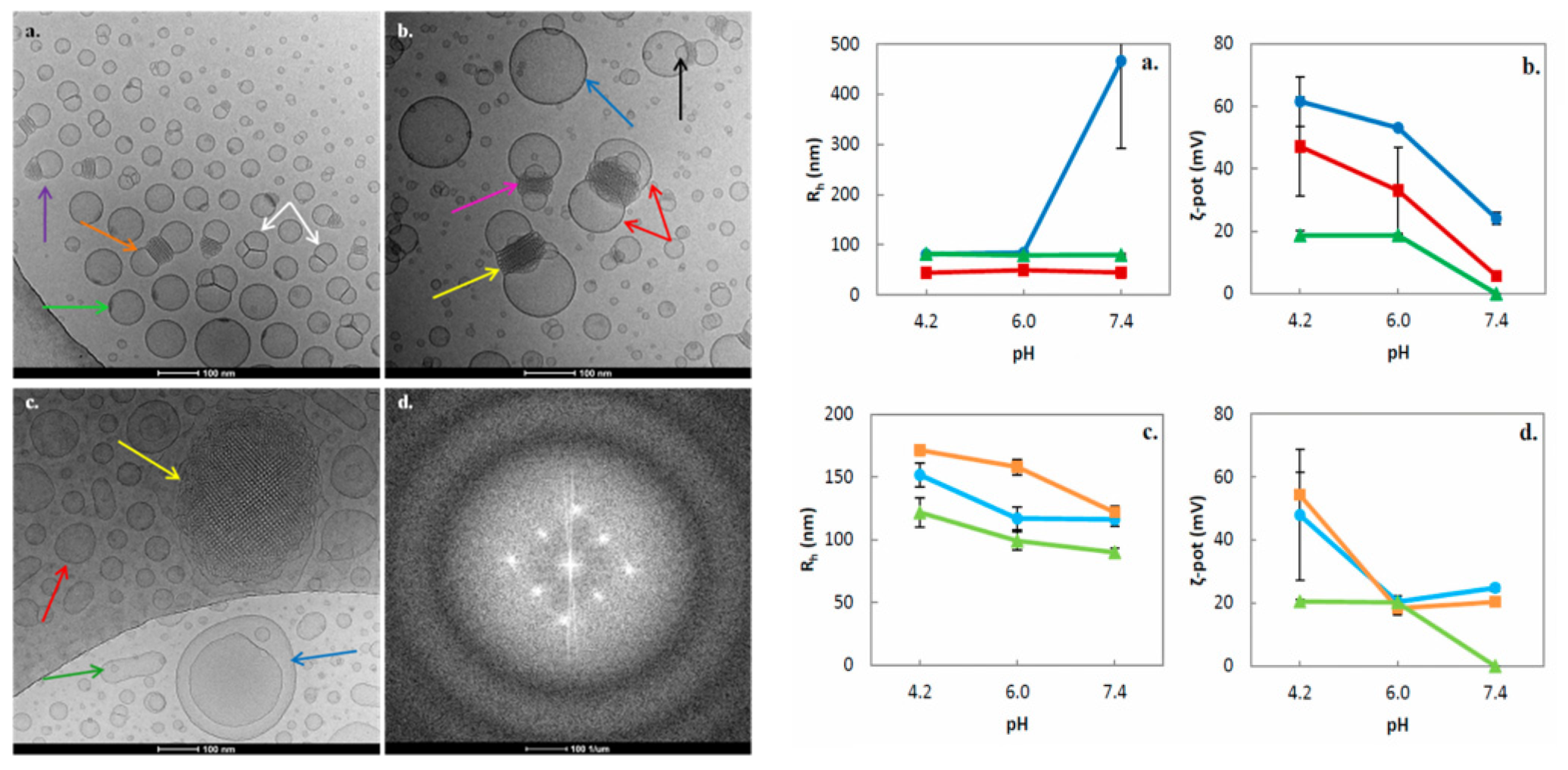 Pharmaceuticals 15 00429 g005