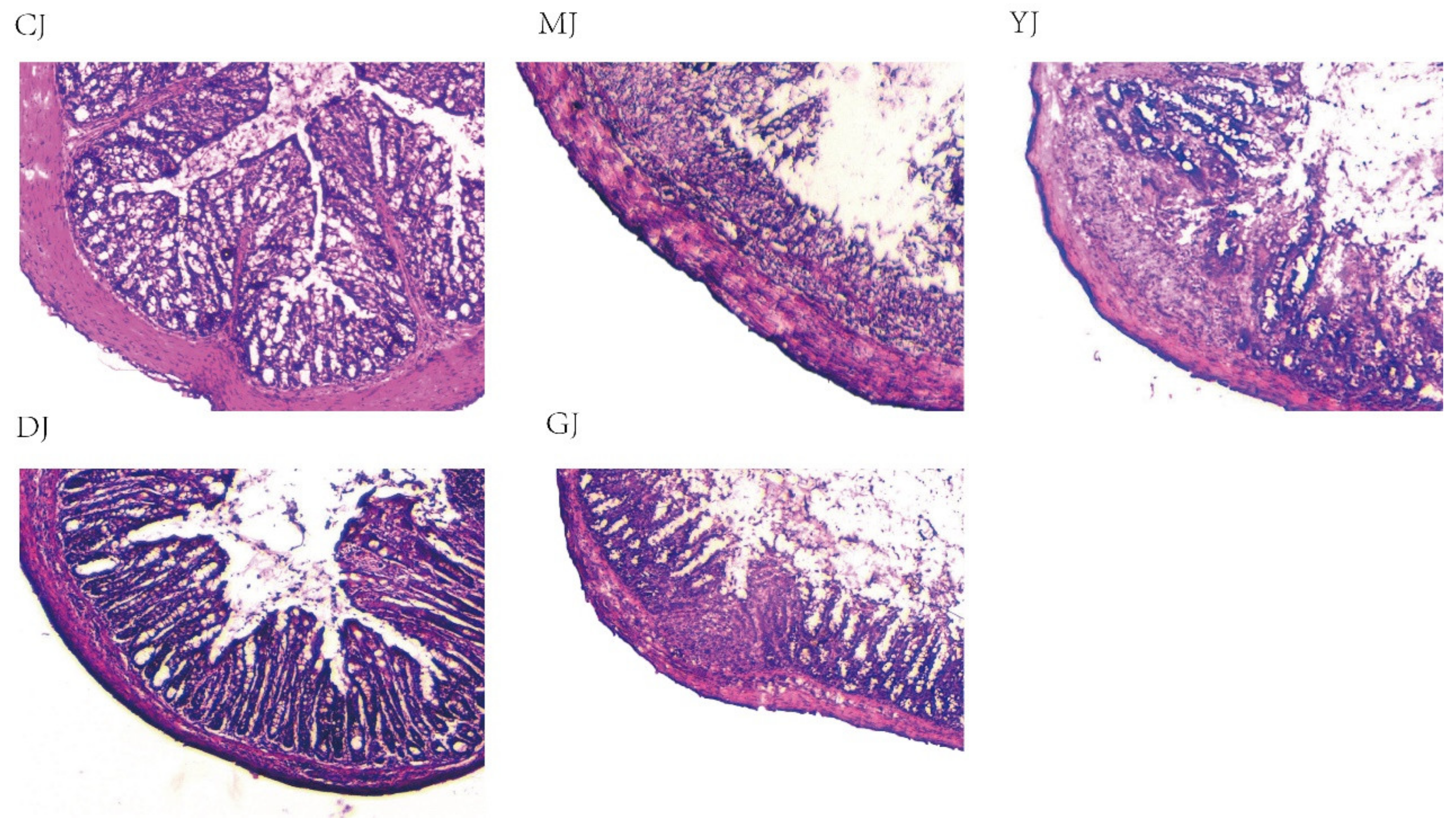 Pharmaceuticals 15 00430 g004