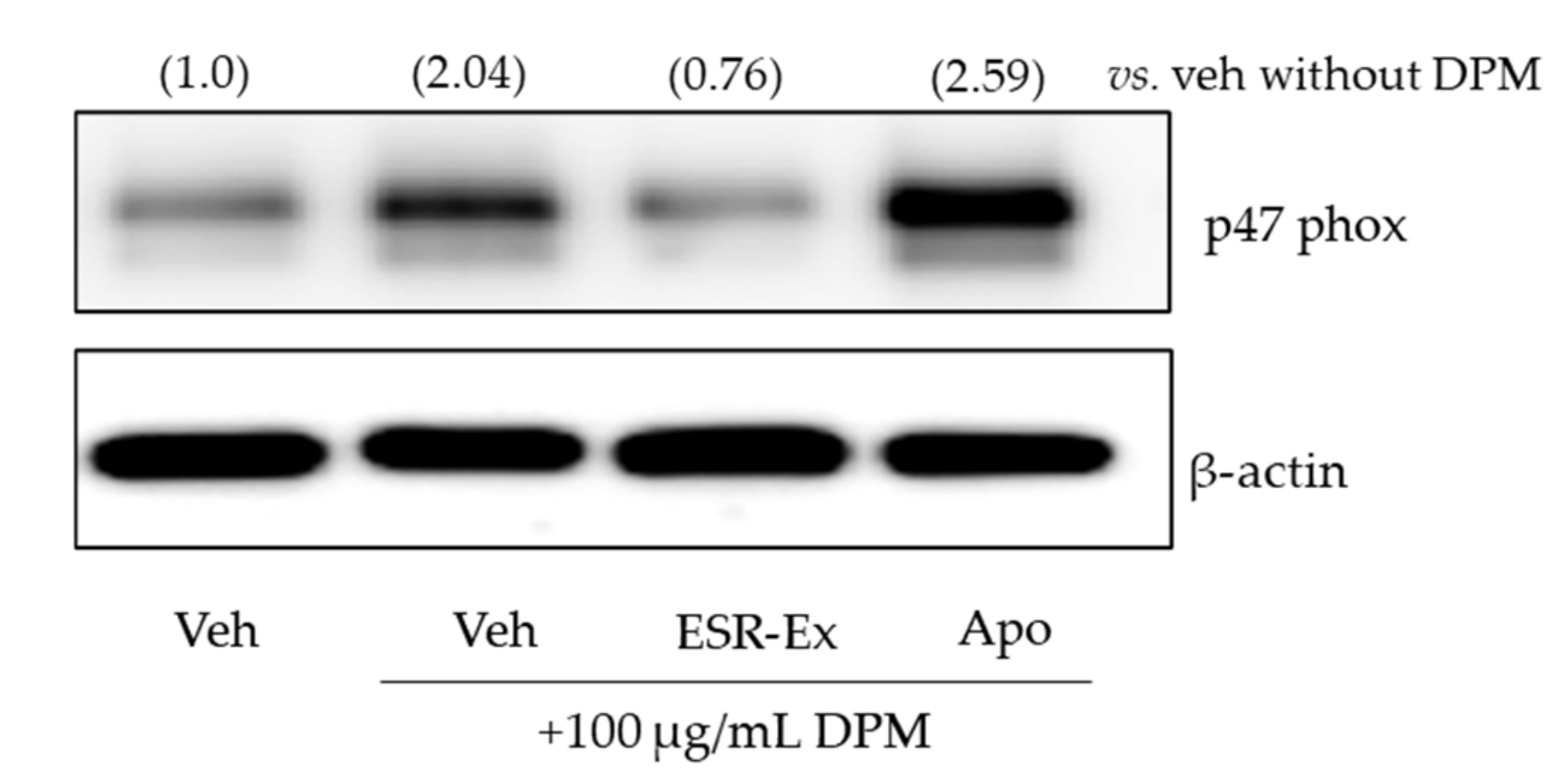 Pharmaceuticals 15 00431 g007 Pharmaceuticals 15 00431 g007