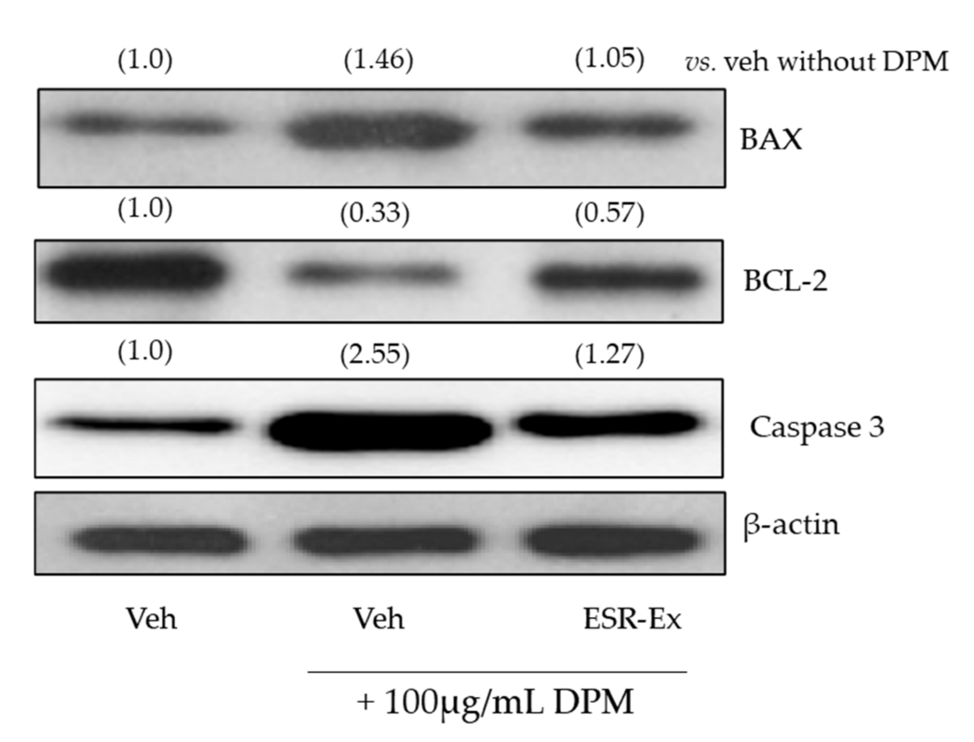 Pharmaceuticals 15 00431 g008 Pharmaceuticals 15 00431 g008