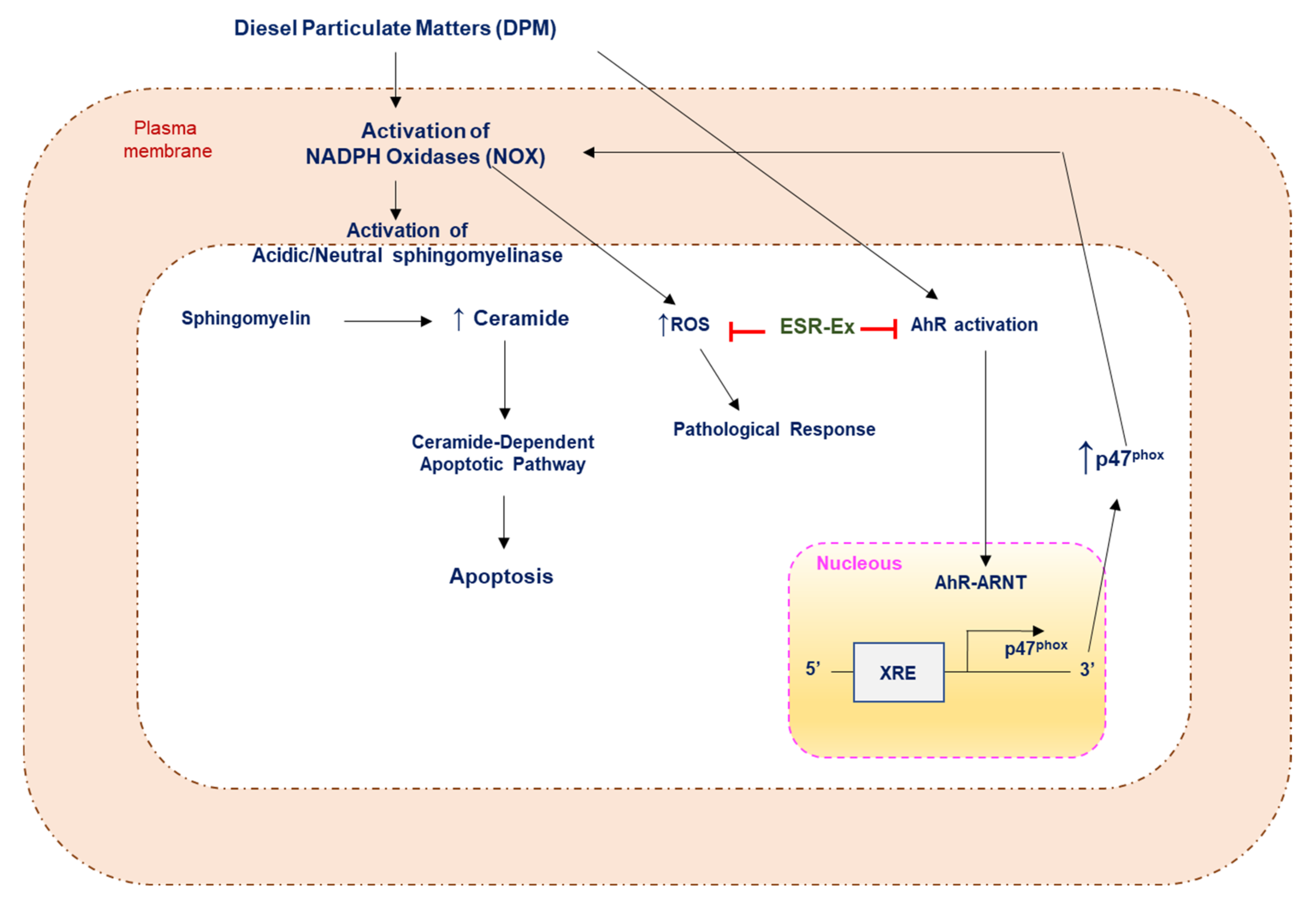 Pharmaceuticals 15 00431 g009 Pharmaceuticals 15 00431 g009
