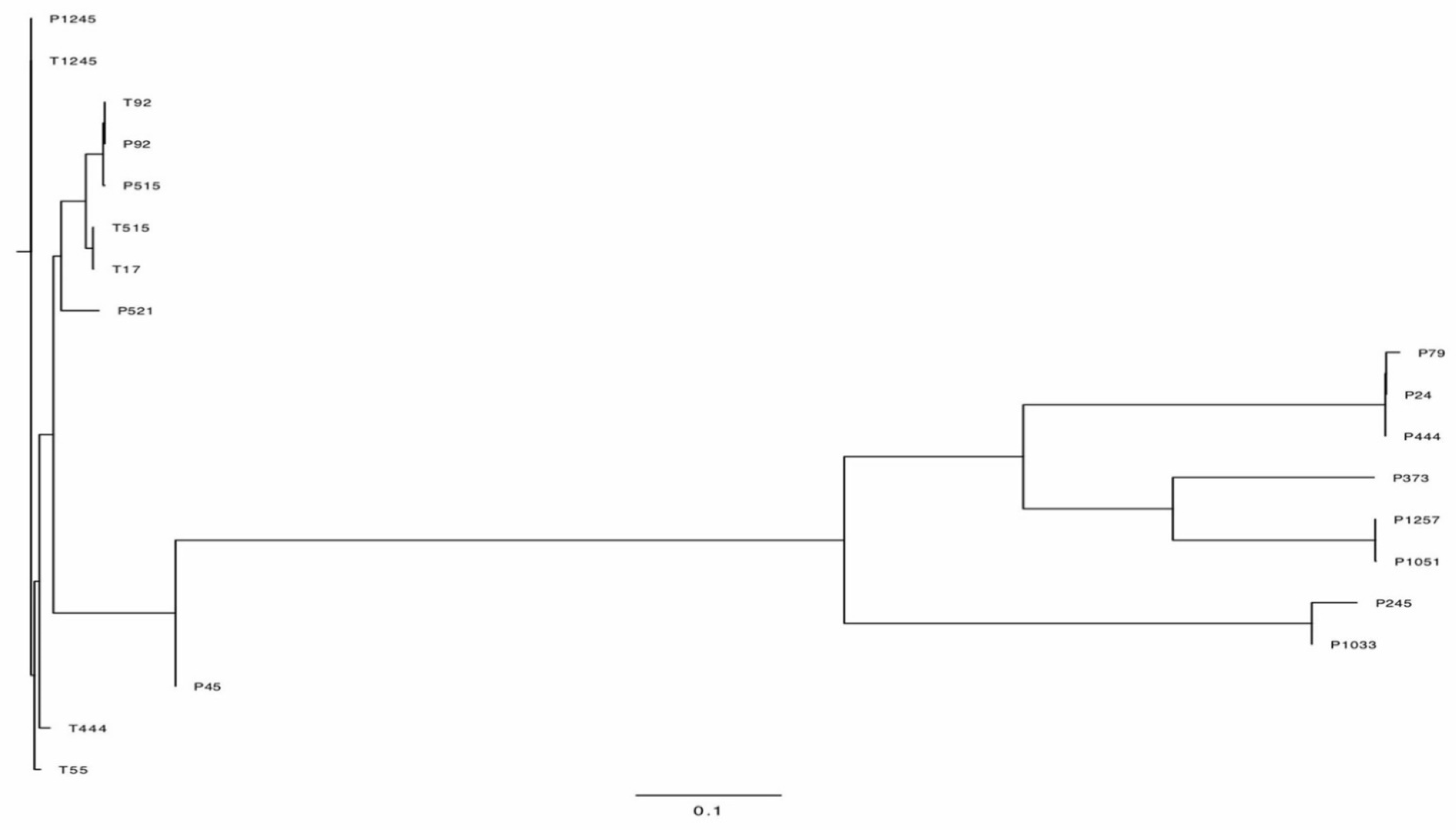 Pharmaceuticals 15 00443 g007