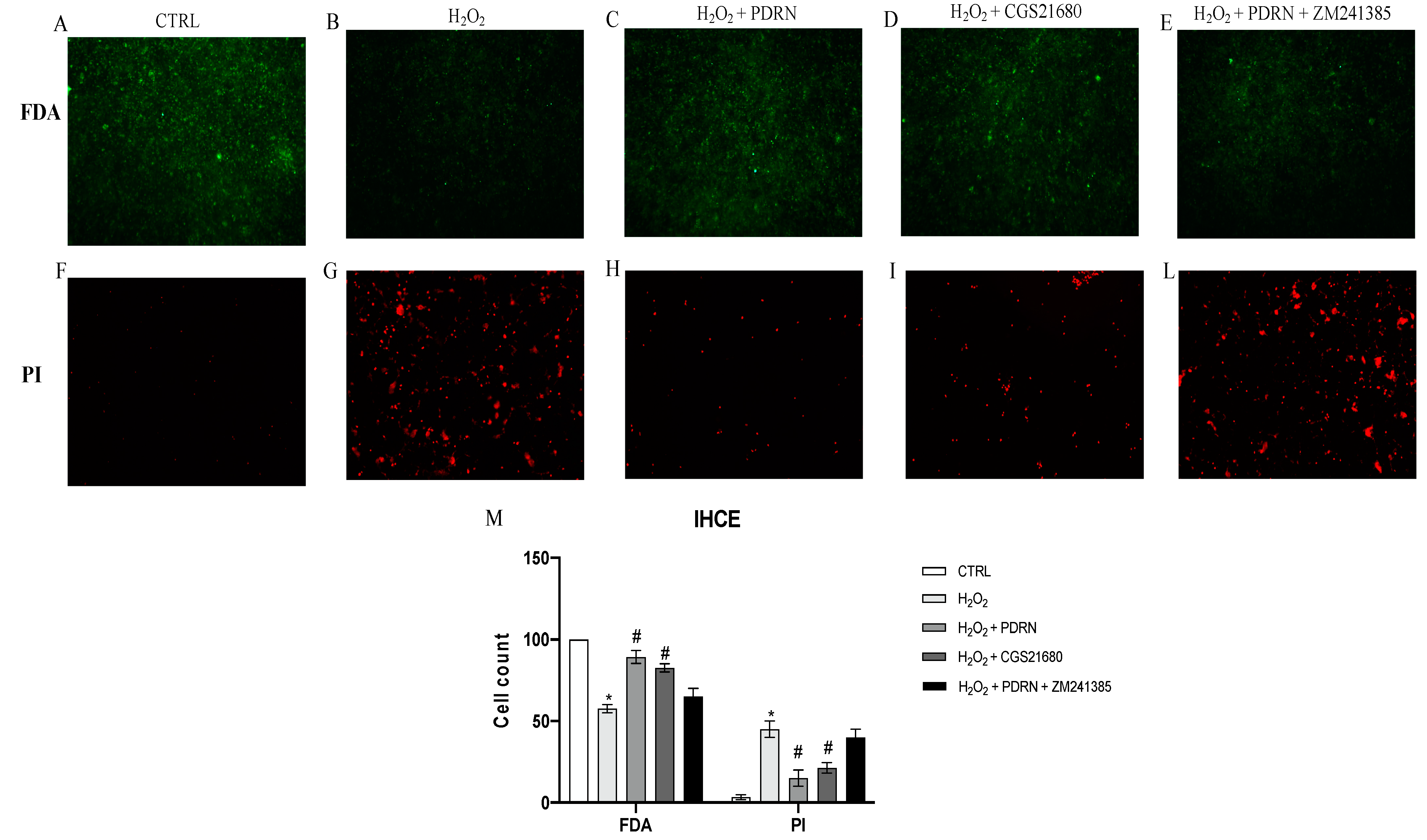 Pharmaceuticals 15 00447 g001