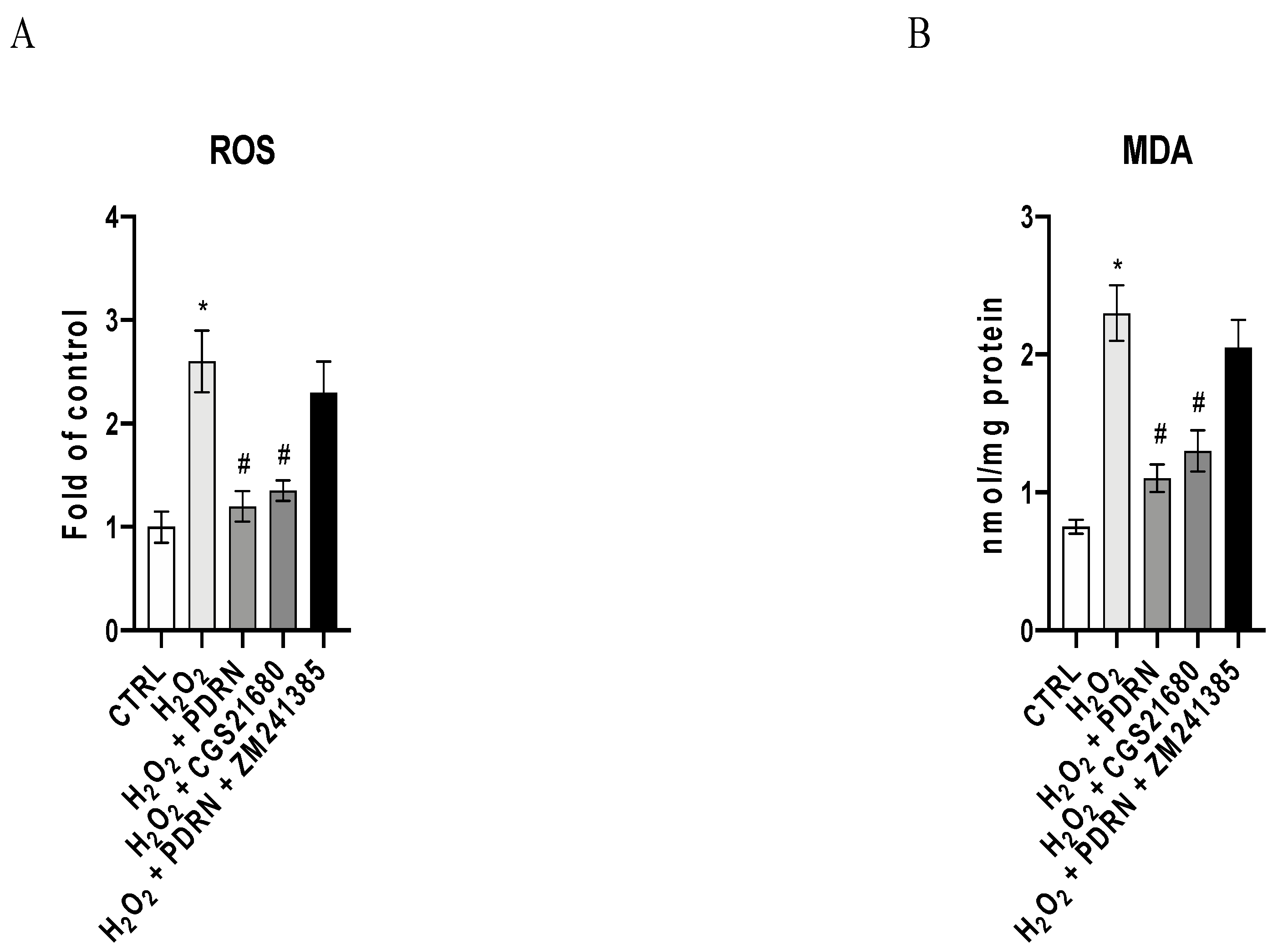 Pharmaceuticals 15 00447 g002
