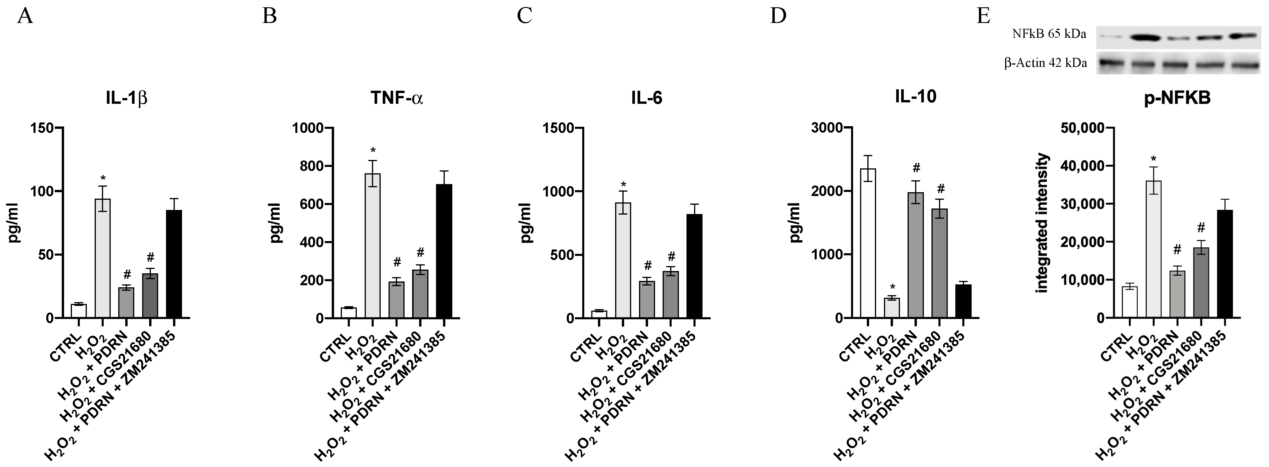 Pharmaceuticals 15 00447 g004