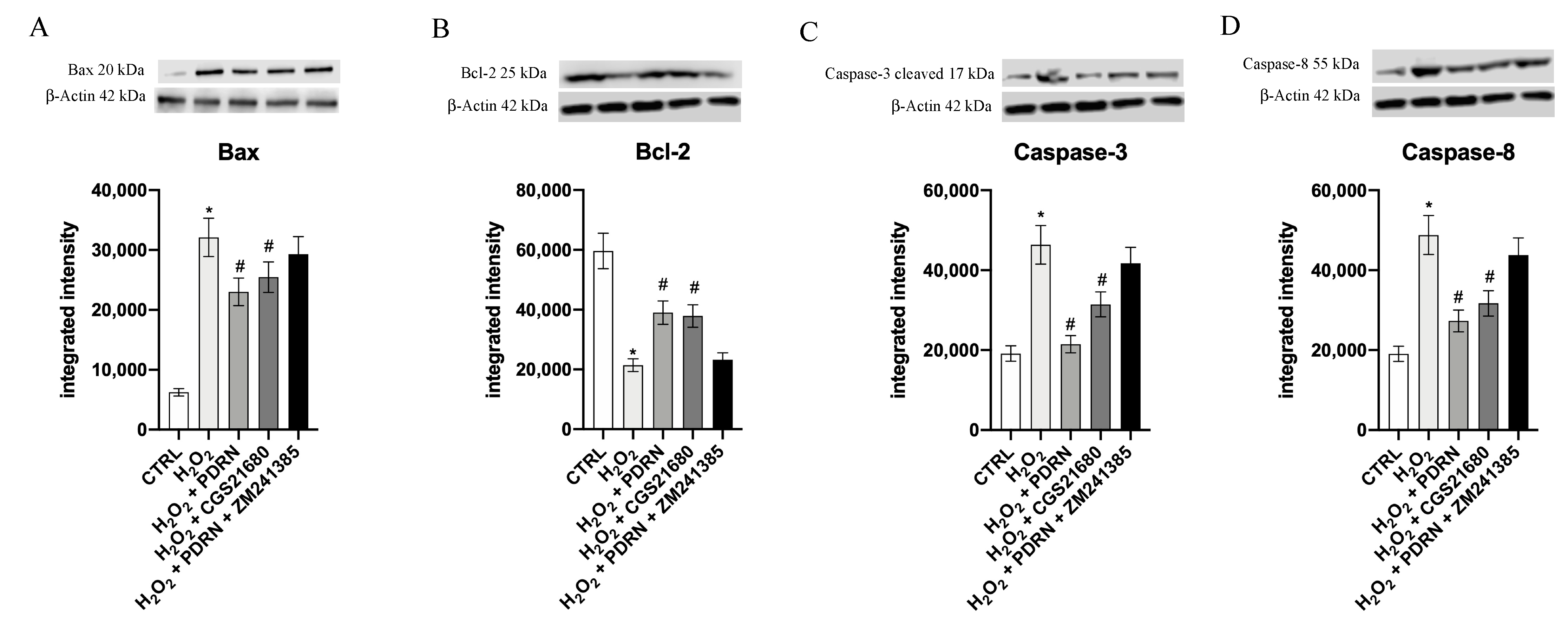 Pharmaceuticals 15 00447 g006