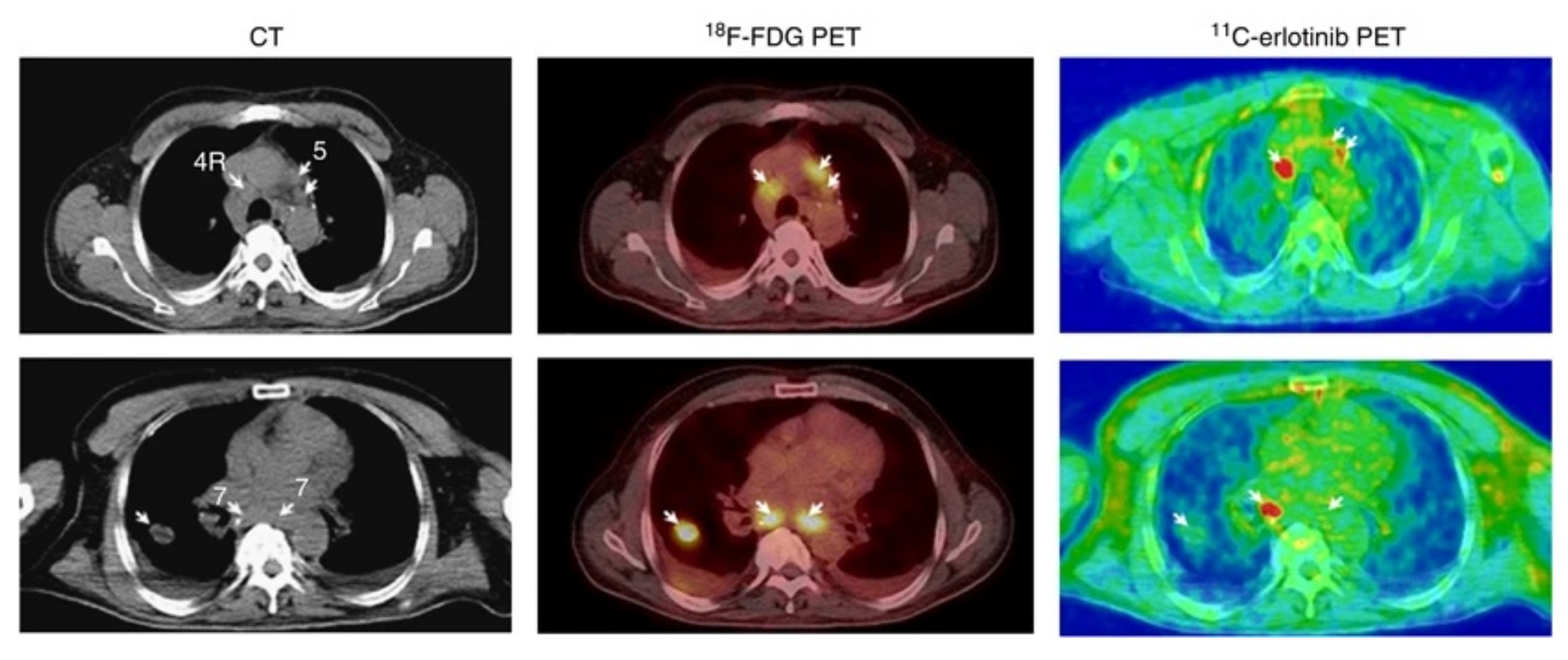 Pharmaceuticals 15 00450 g013 Pharmaceuticals 15 00450 g013