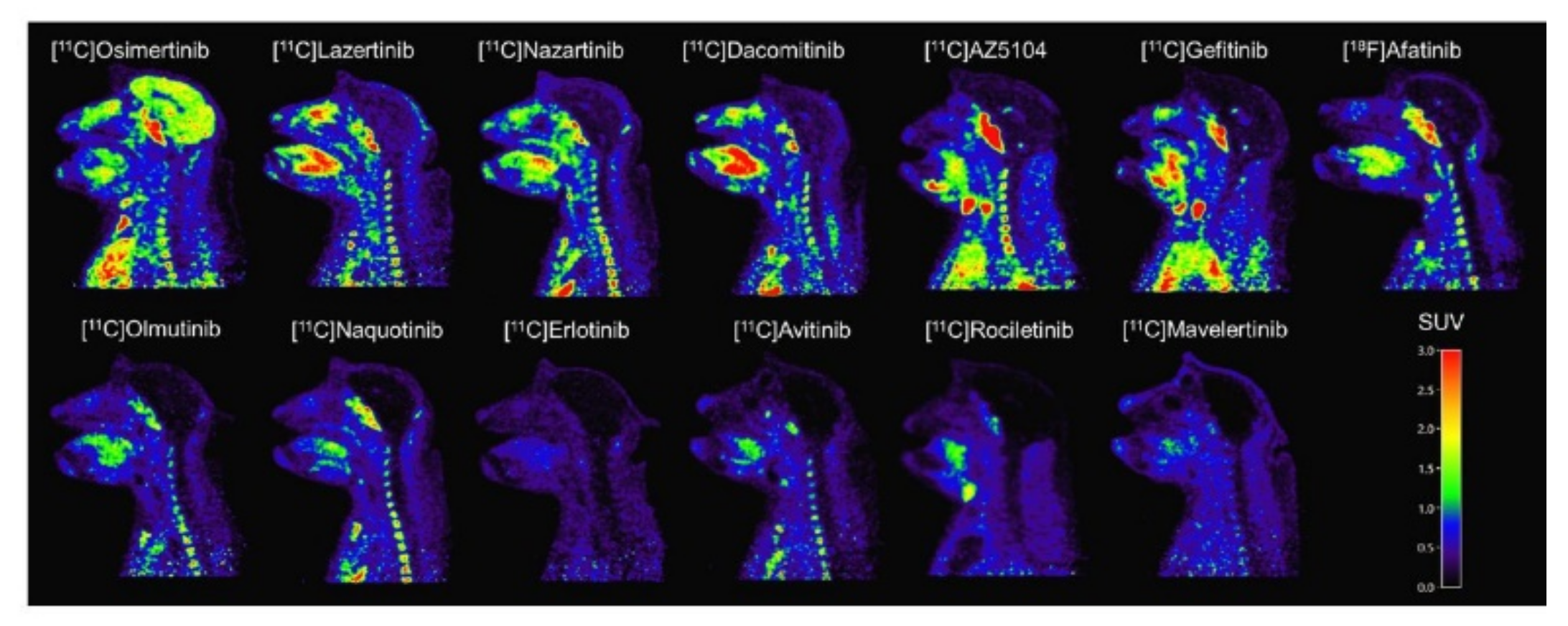 Pharmaceuticals 15 00450 g016 Pharmaceuticals 15 00450 g016