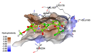 Pharmaceuticals 15 00451 i006