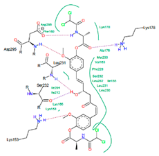 Pharmaceuticals 15 00451 i007