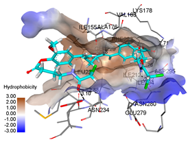Pharmaceuticals 15 00451 i012