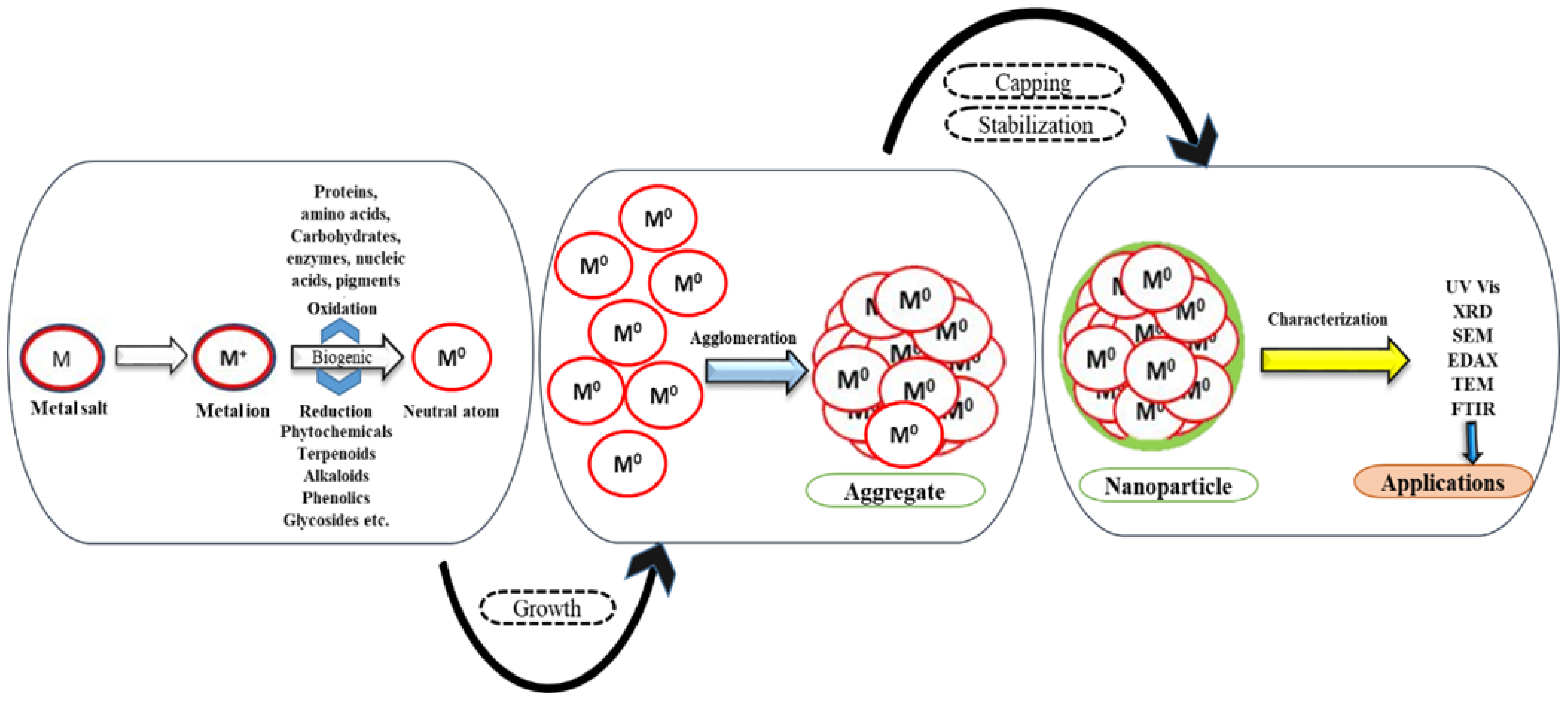 Pharmaceuticals 15 00455 g002