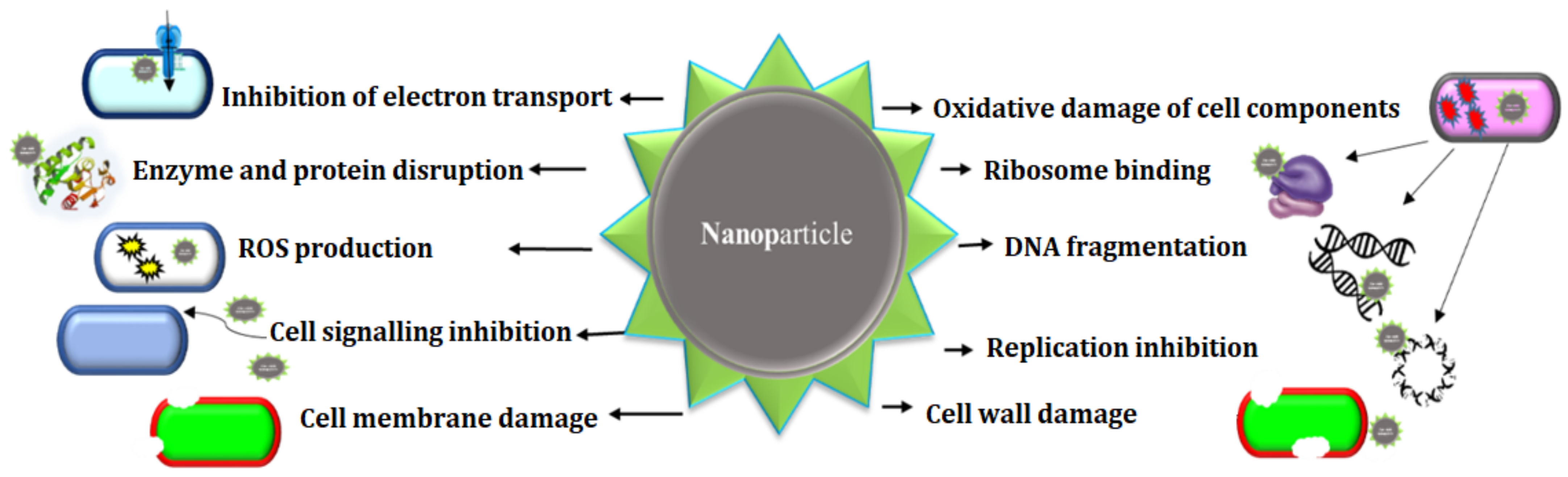Pharmaceuticals 15 00455 g003