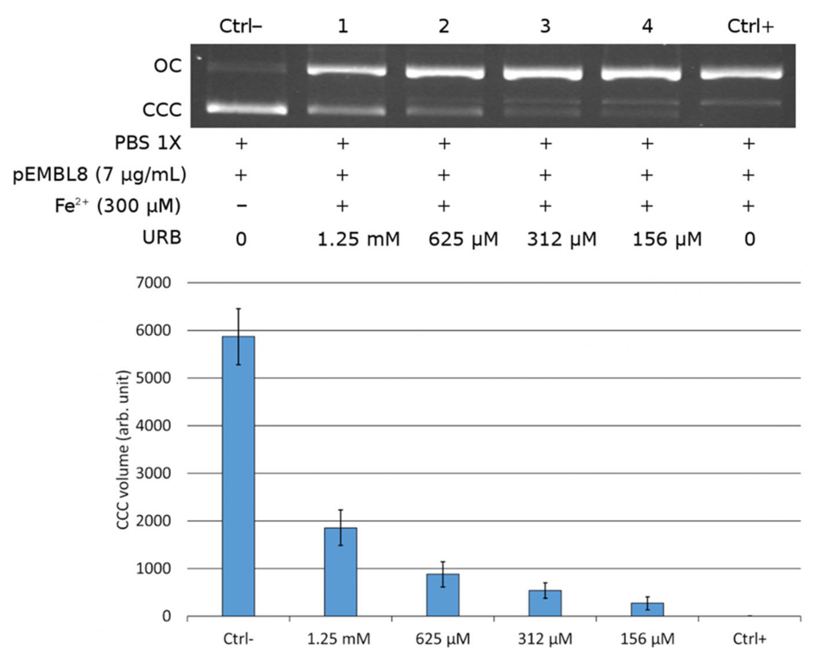 Pharmaceuticals 15 00456 g005