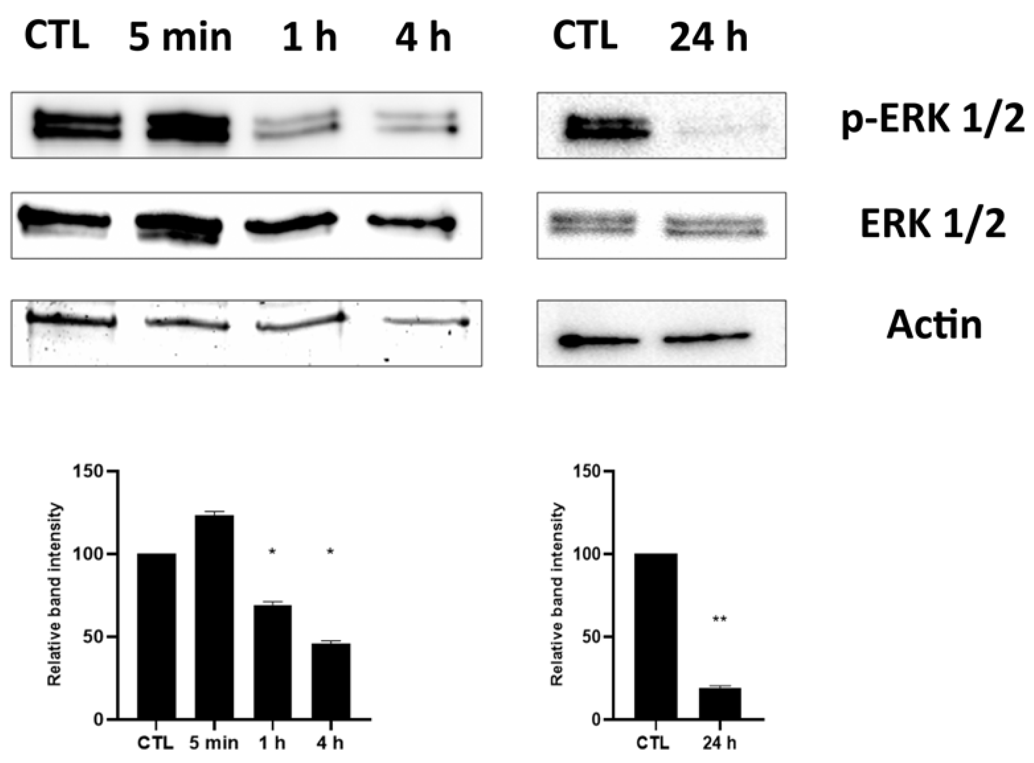 Pharmaceuticals 15 00457 g004 Pharmaceuticals 15 00457 g004