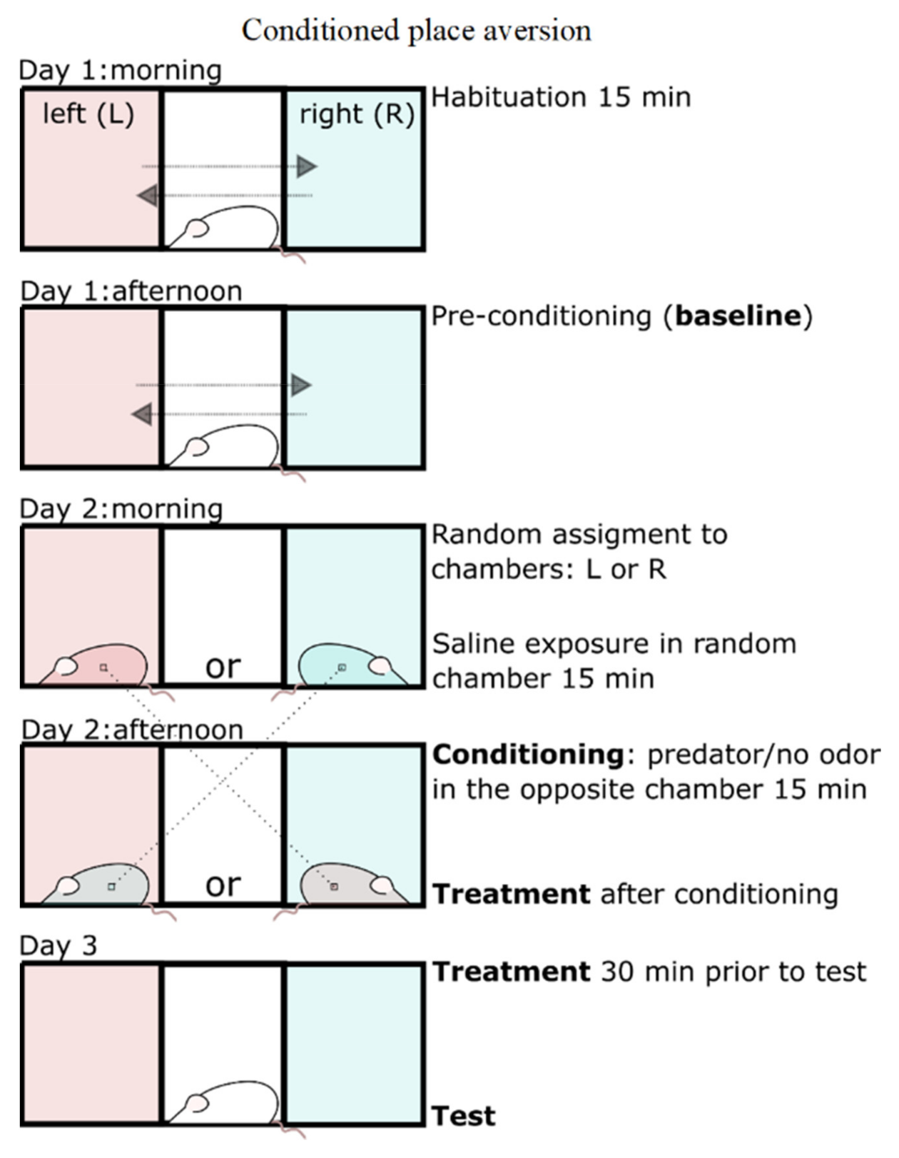 Pharmaceuticals 15 00462 g007