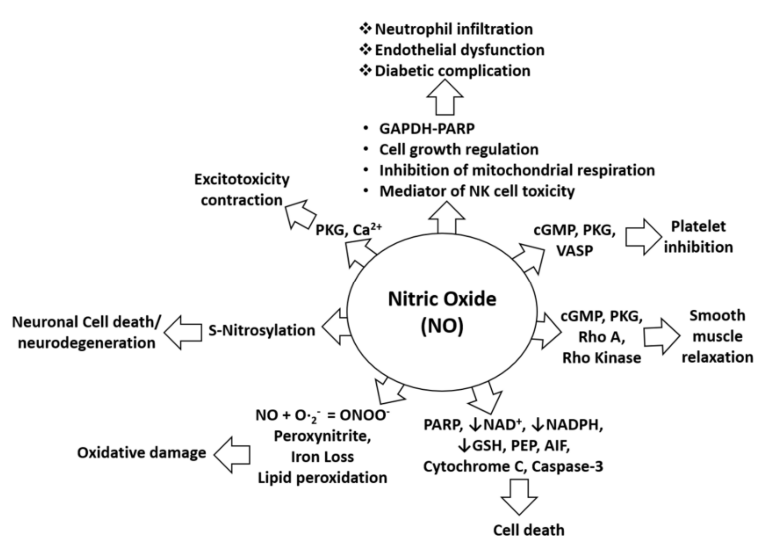 Pharmaceuticals 15 00467 g001