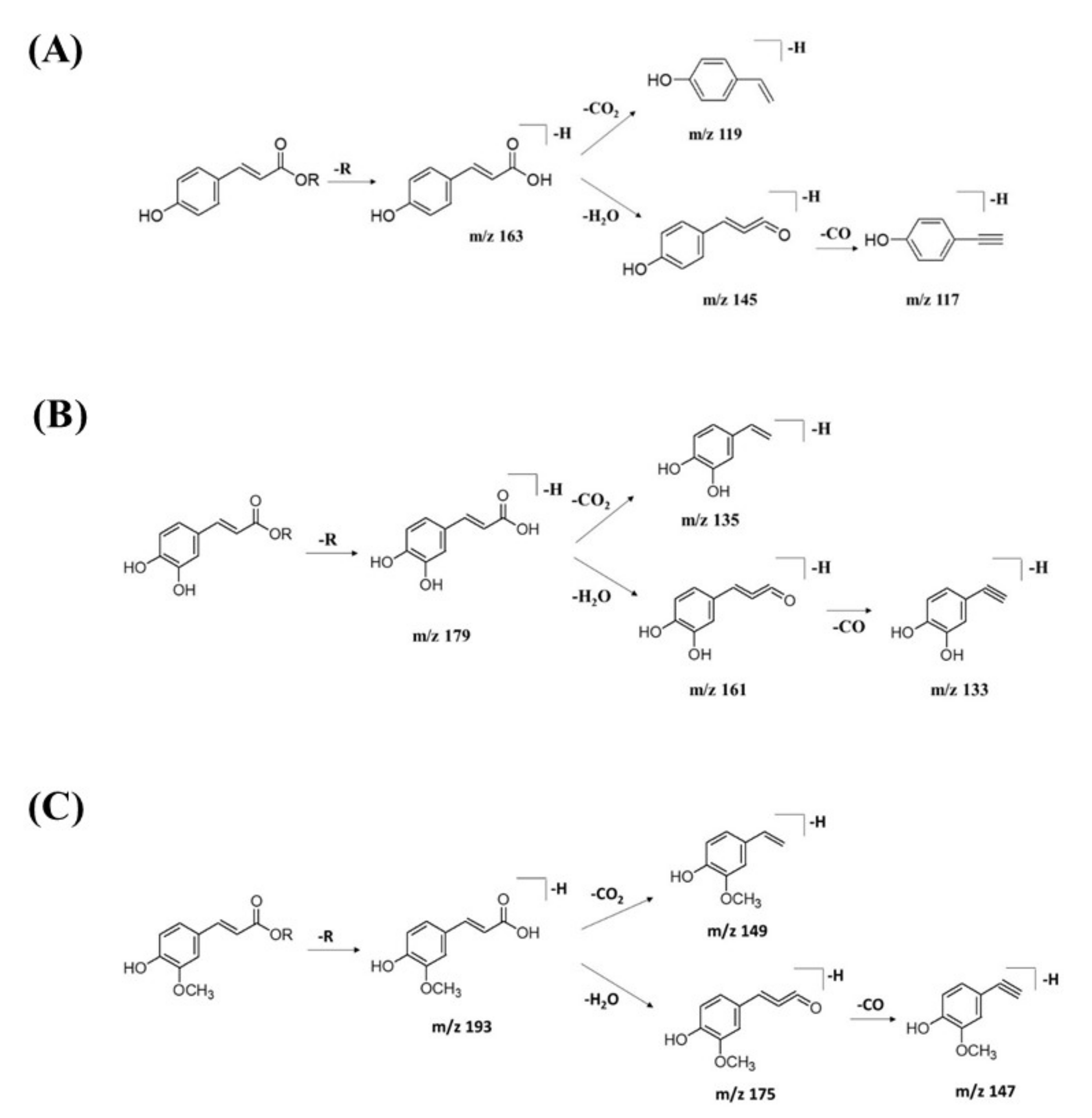 Pharmaceuticals 15 00467 g011