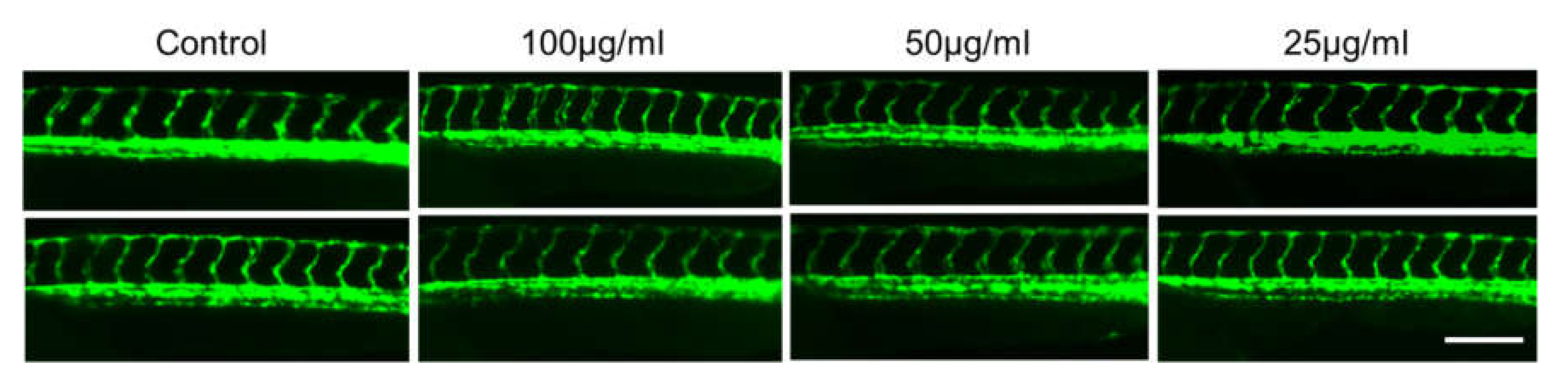 Pharmaceuticals 15 00467 g018