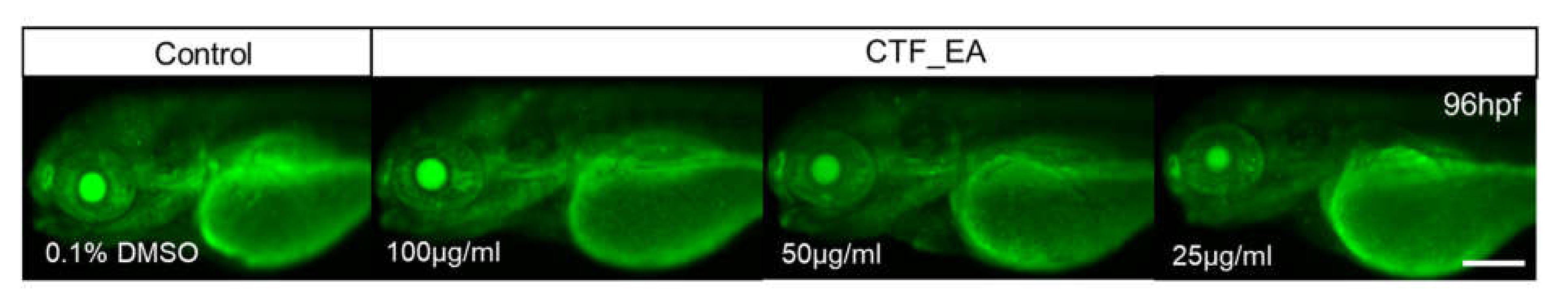 Pharmaceuticals 15 00467 g019