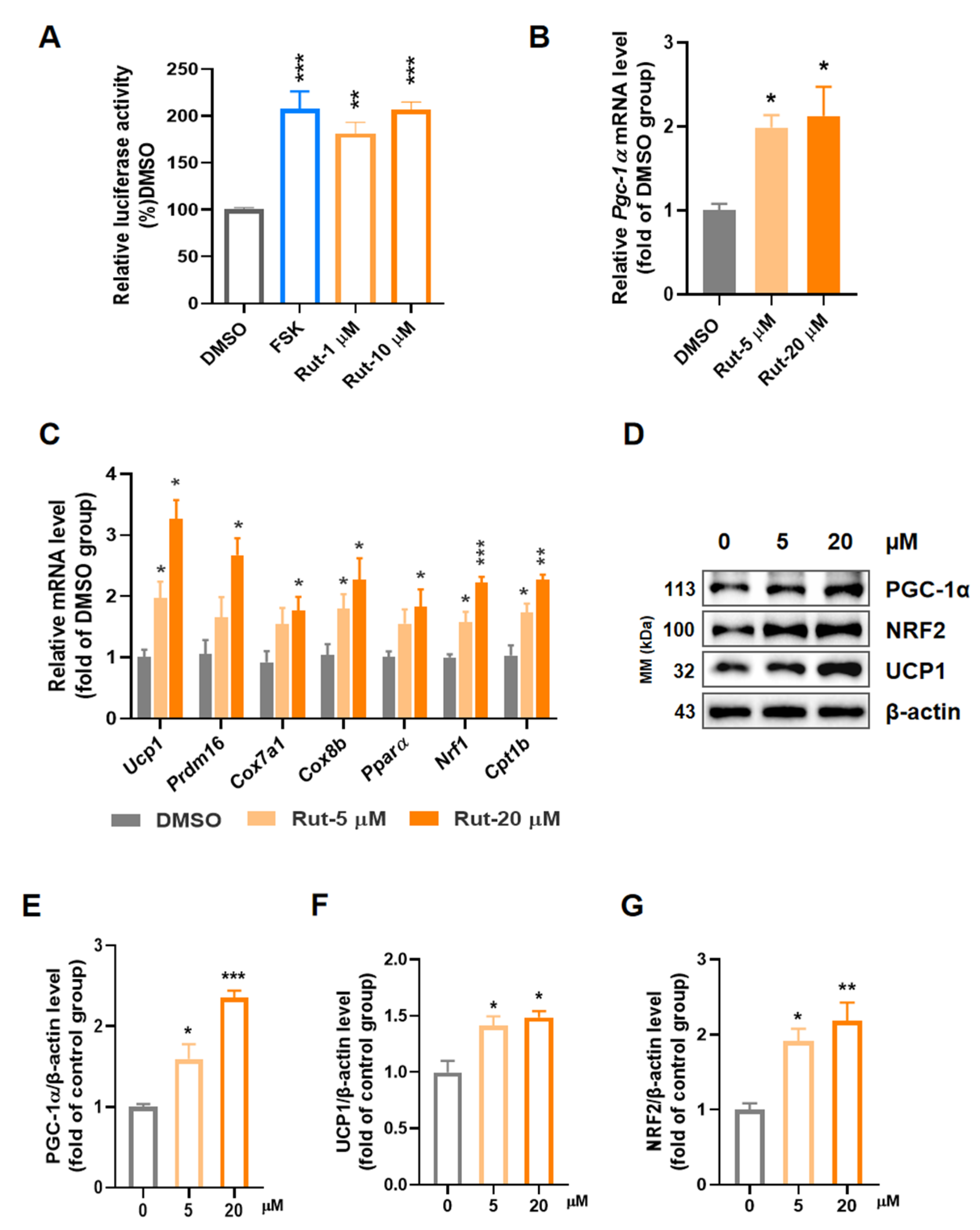 Pharmaceuticals 15 00469 g001