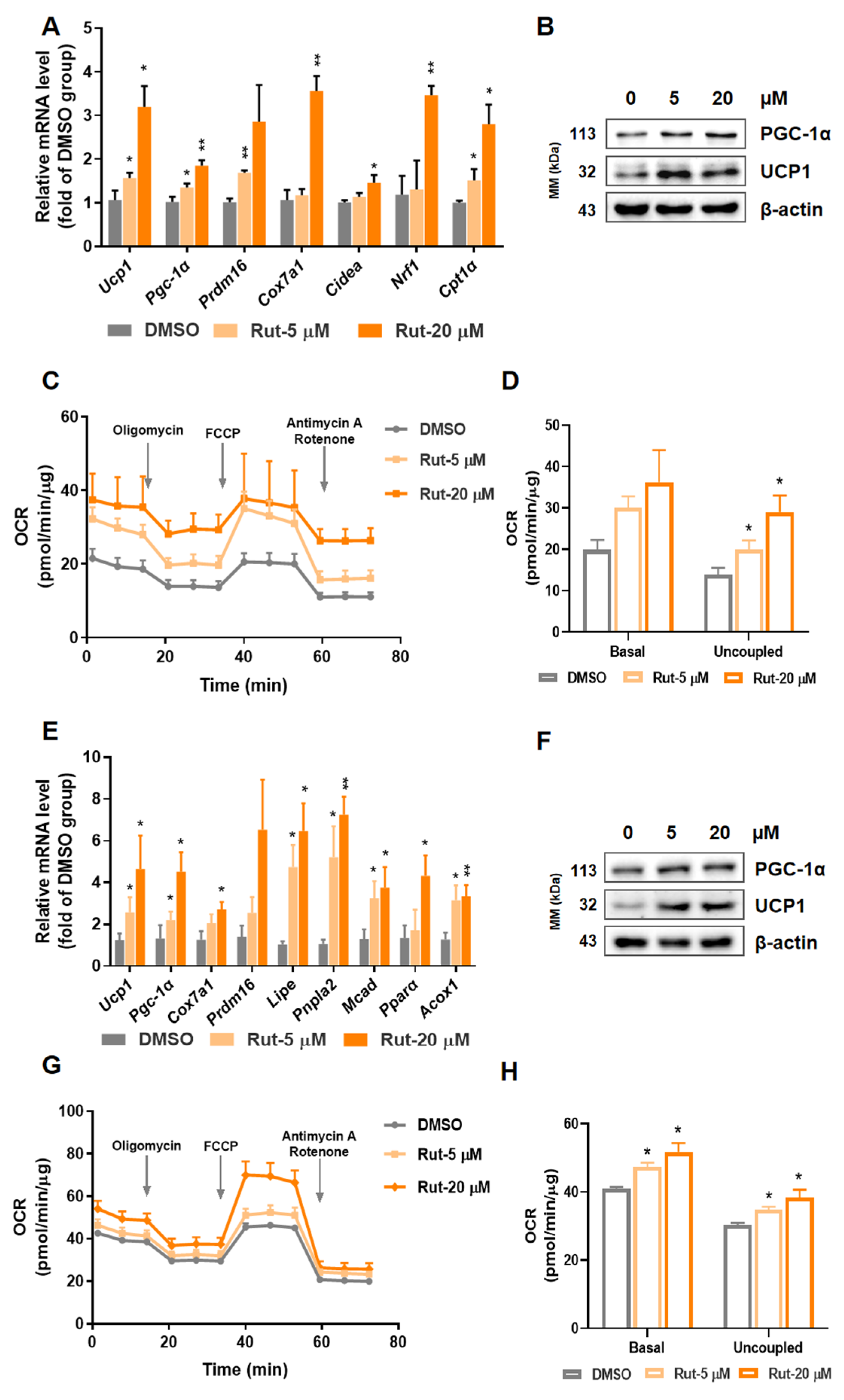 Pharmaceuticals 15 00469 g002